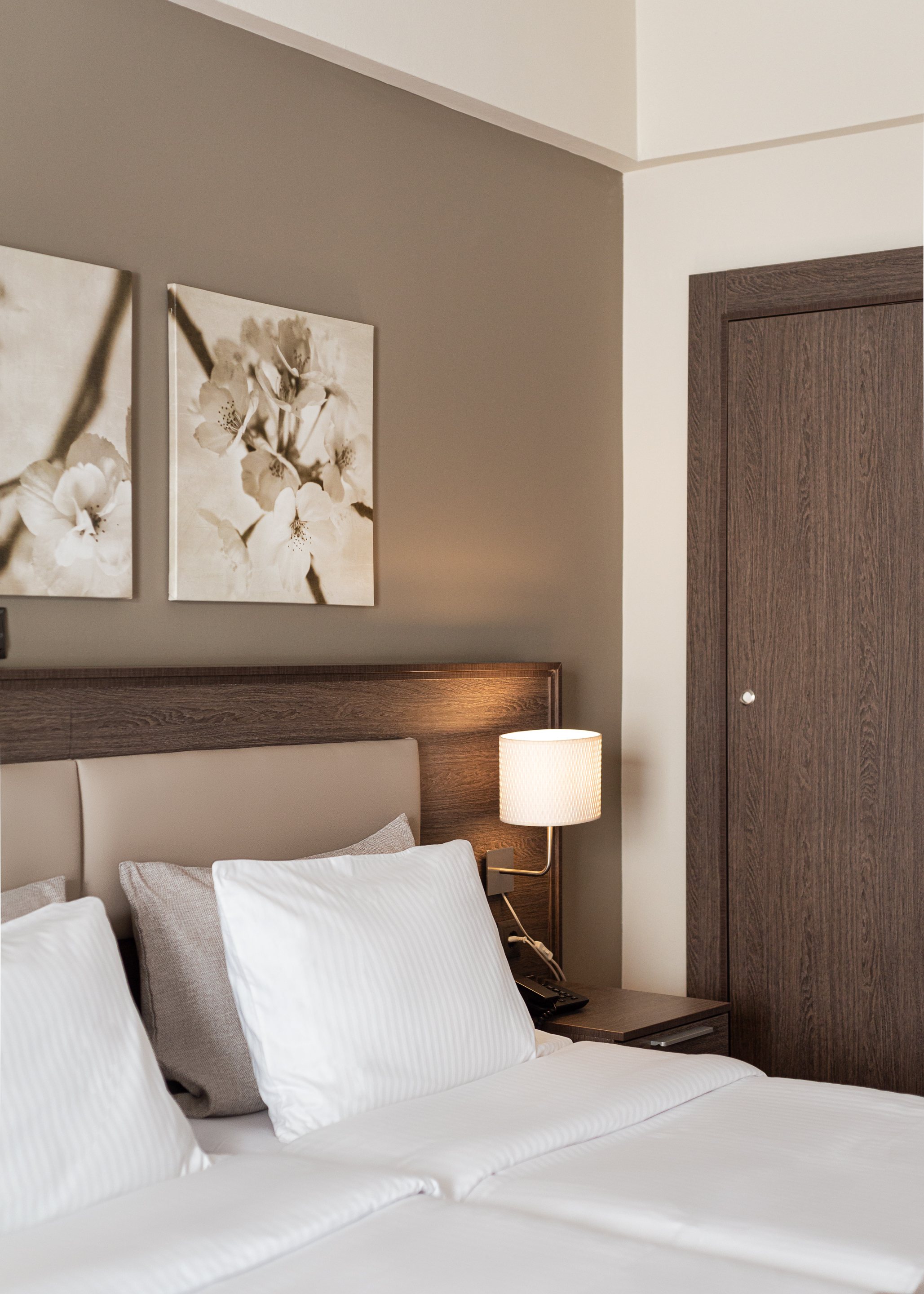 Double or Twin Capacity 3