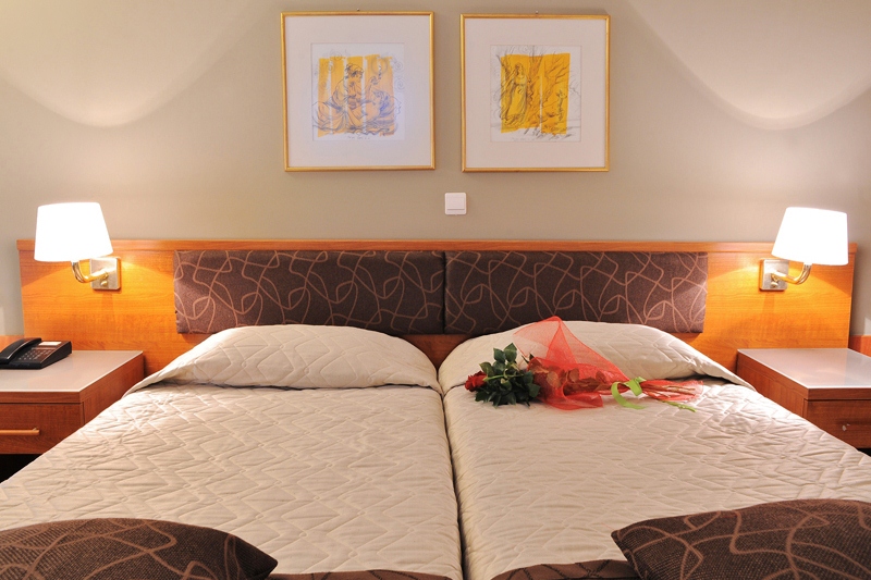 Double or Twin Standard