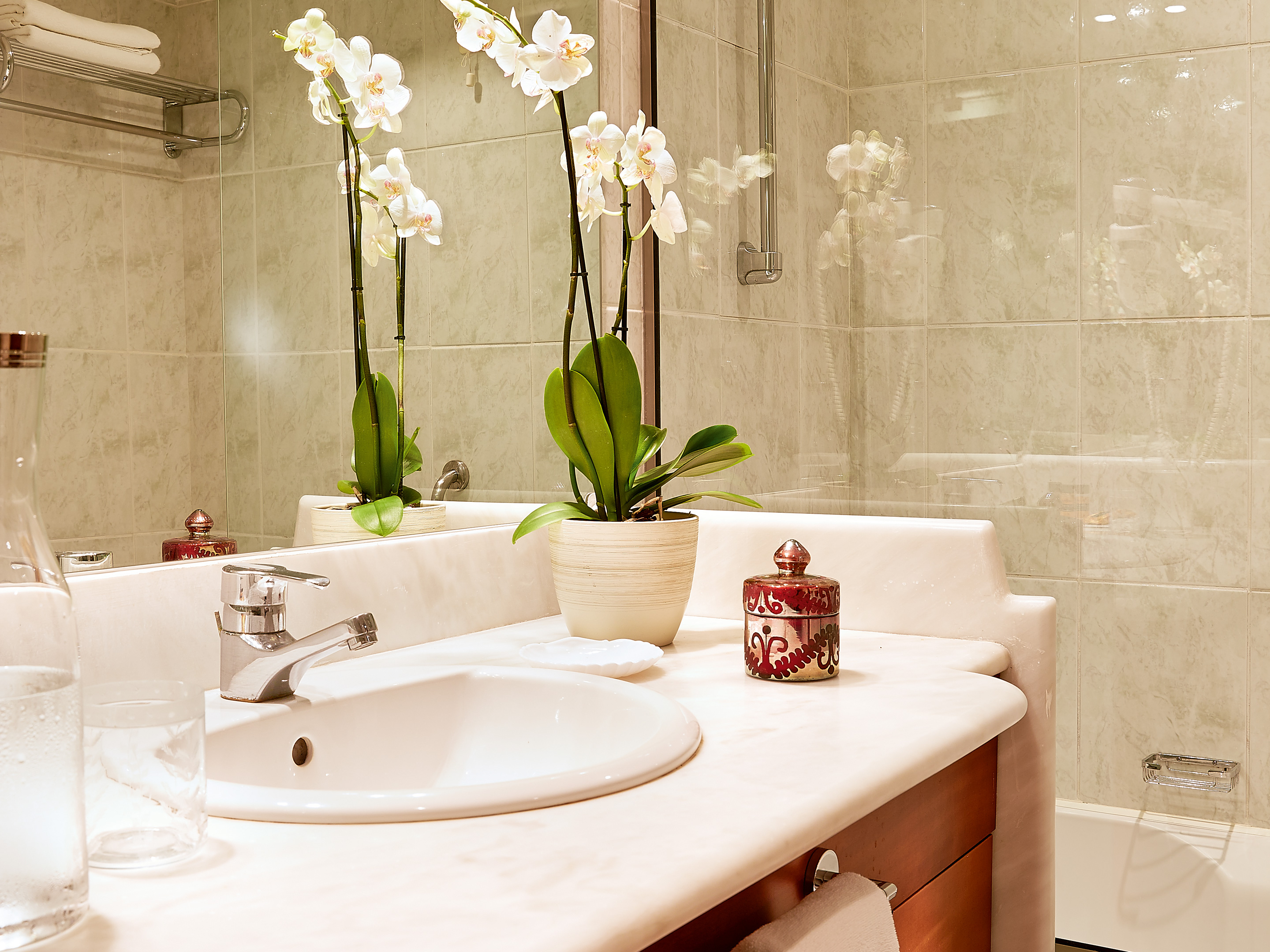 Double or Twin Mountain View