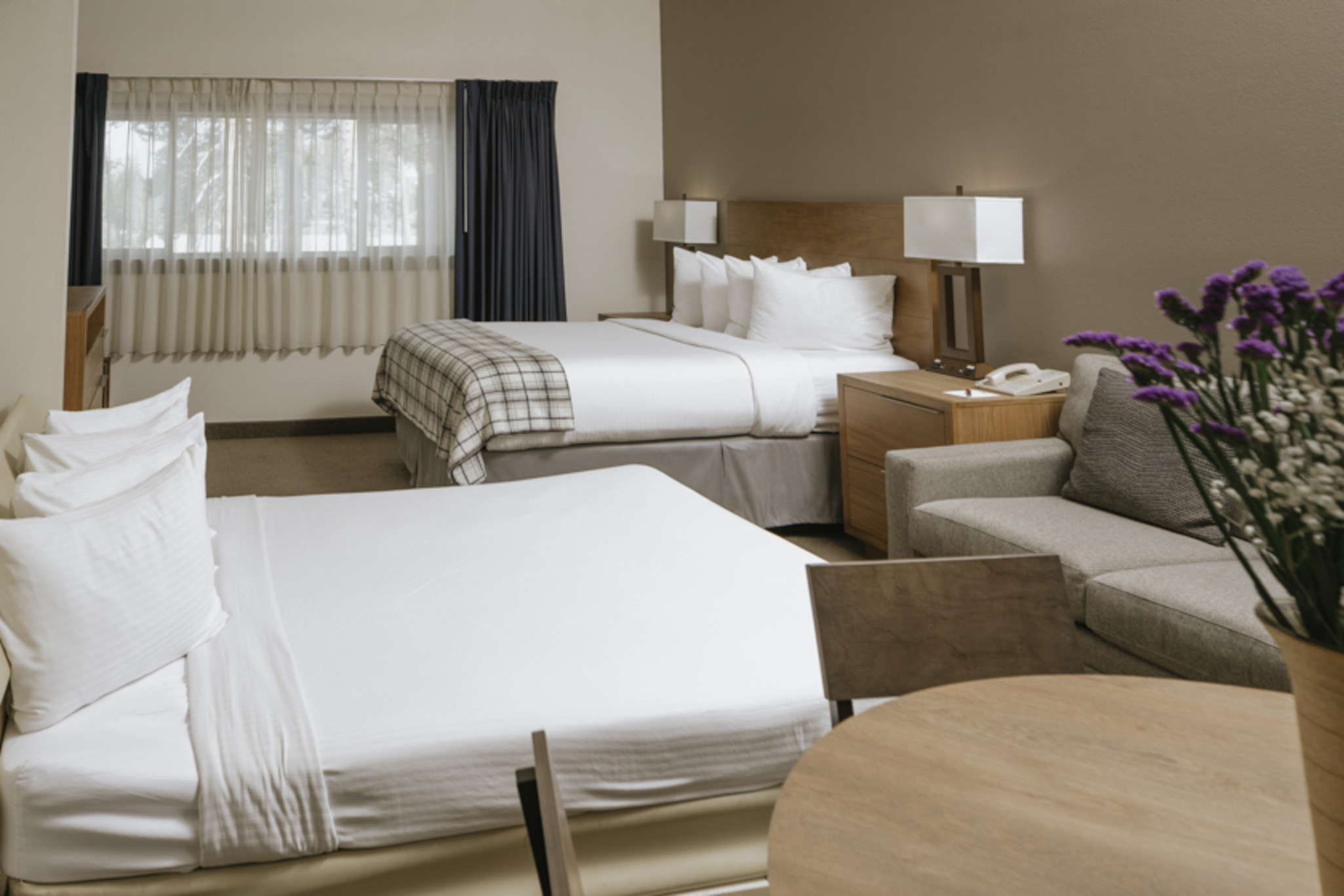 Apartment One Bedroom