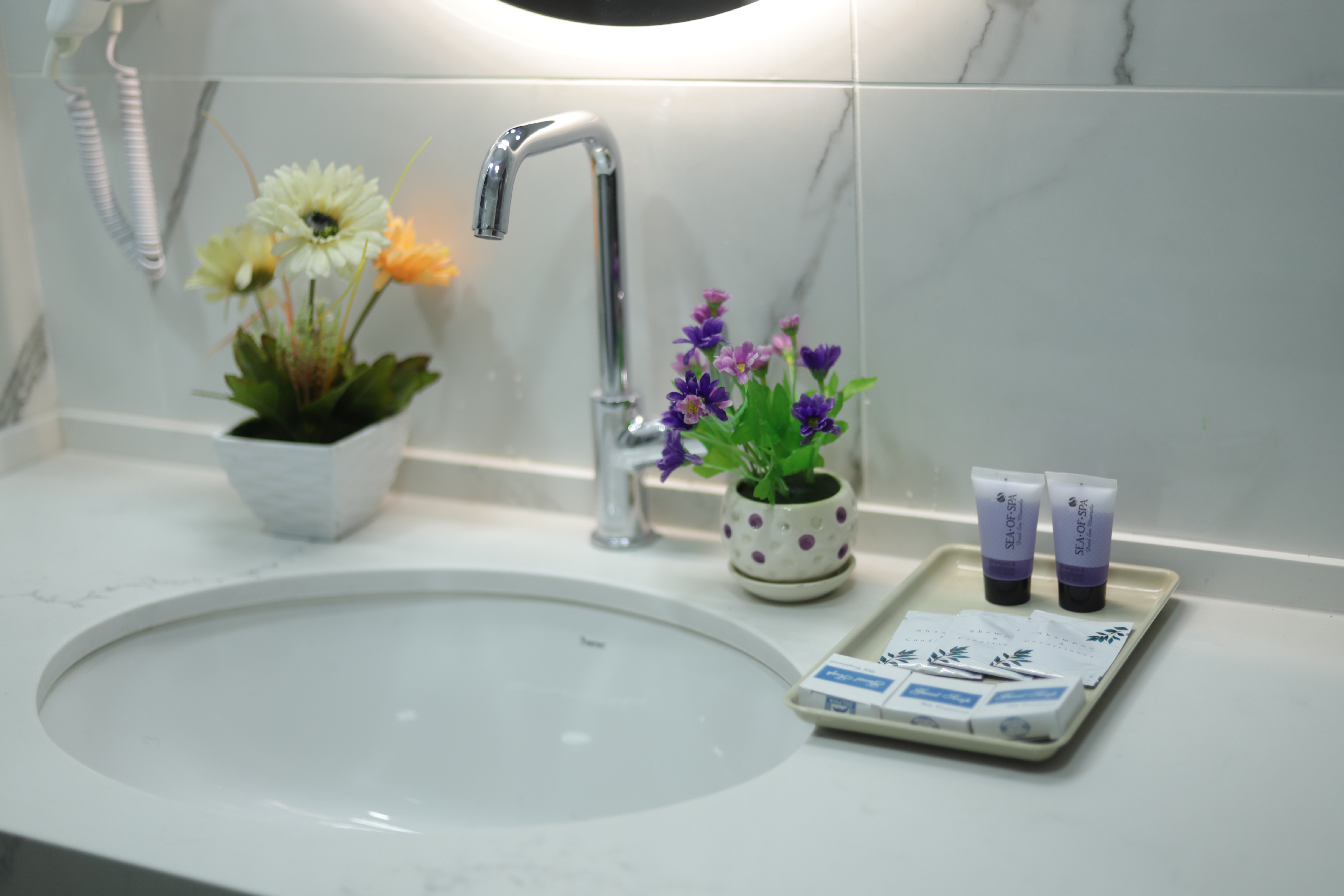 Double or Twin One Bed