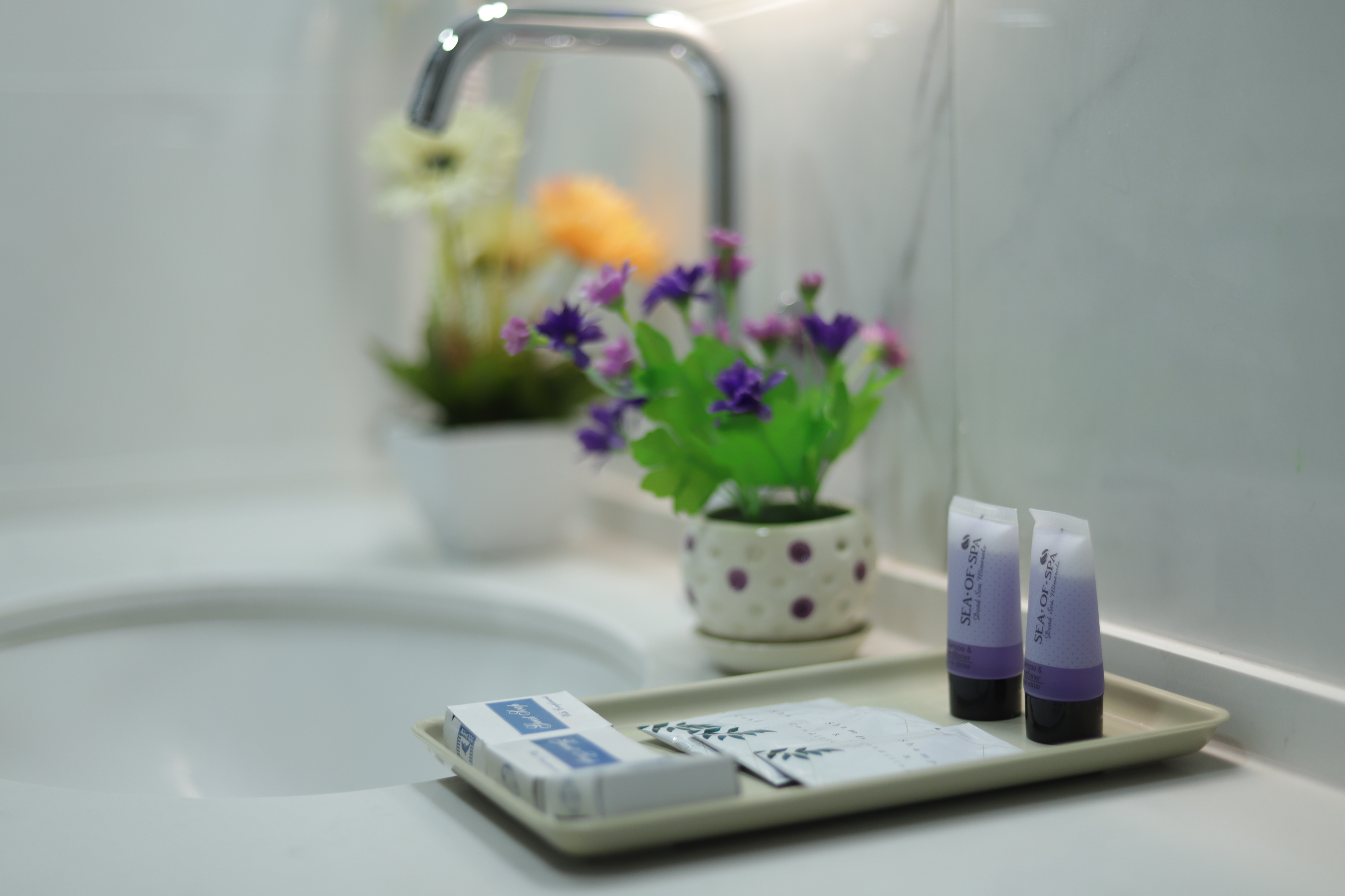 Double or Twin One Bed