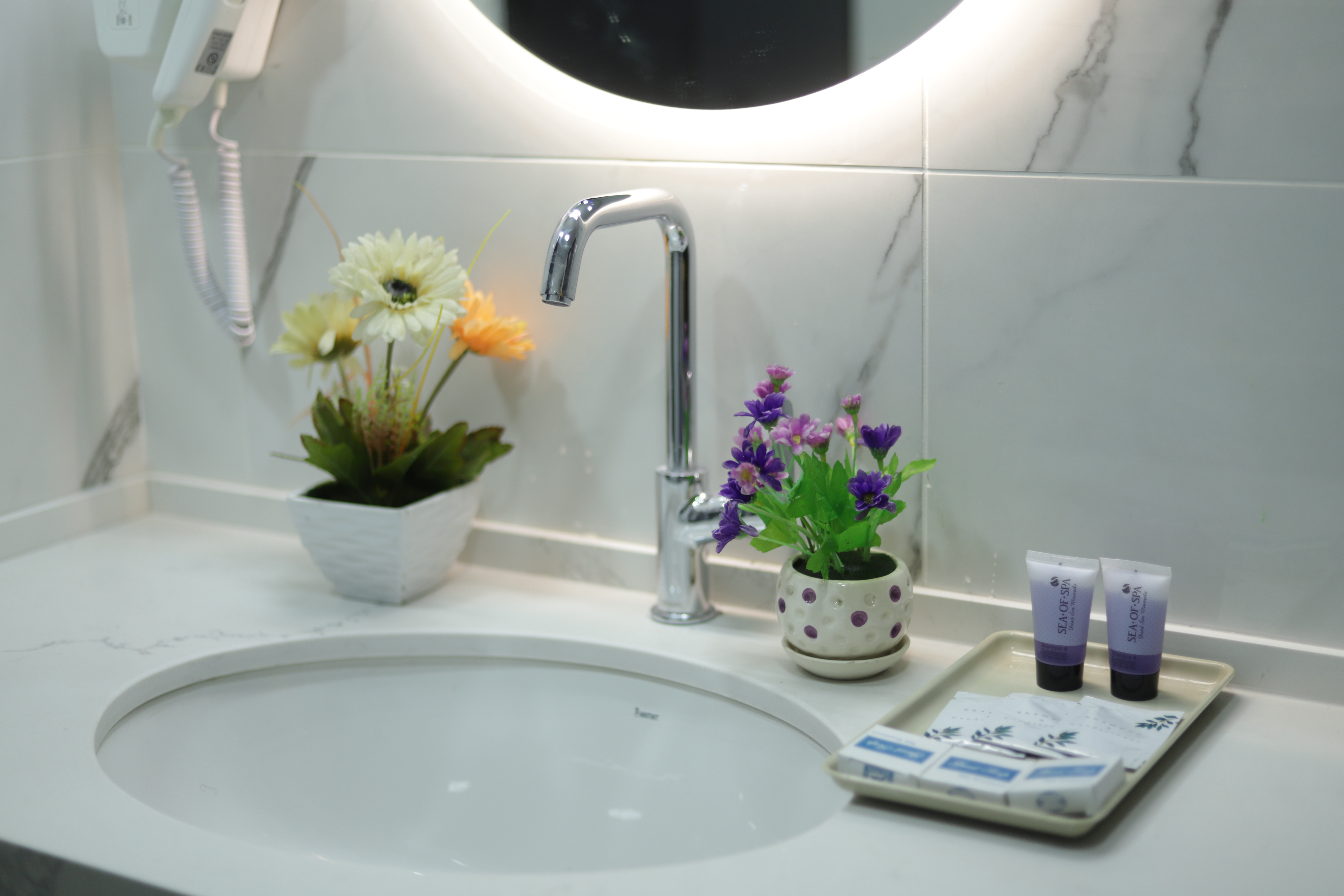 Double or Twin One Bed