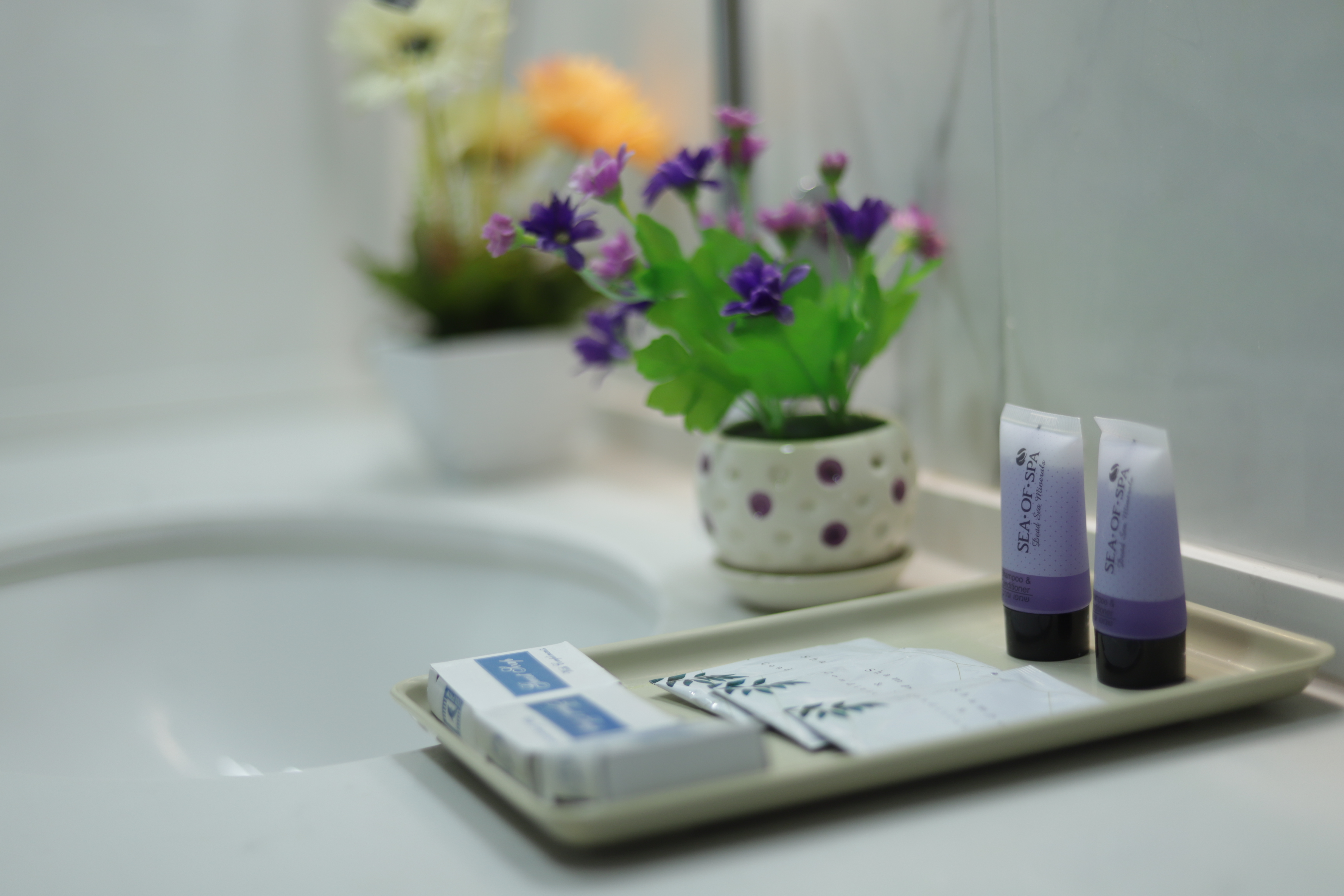 Double or Twin One Bed