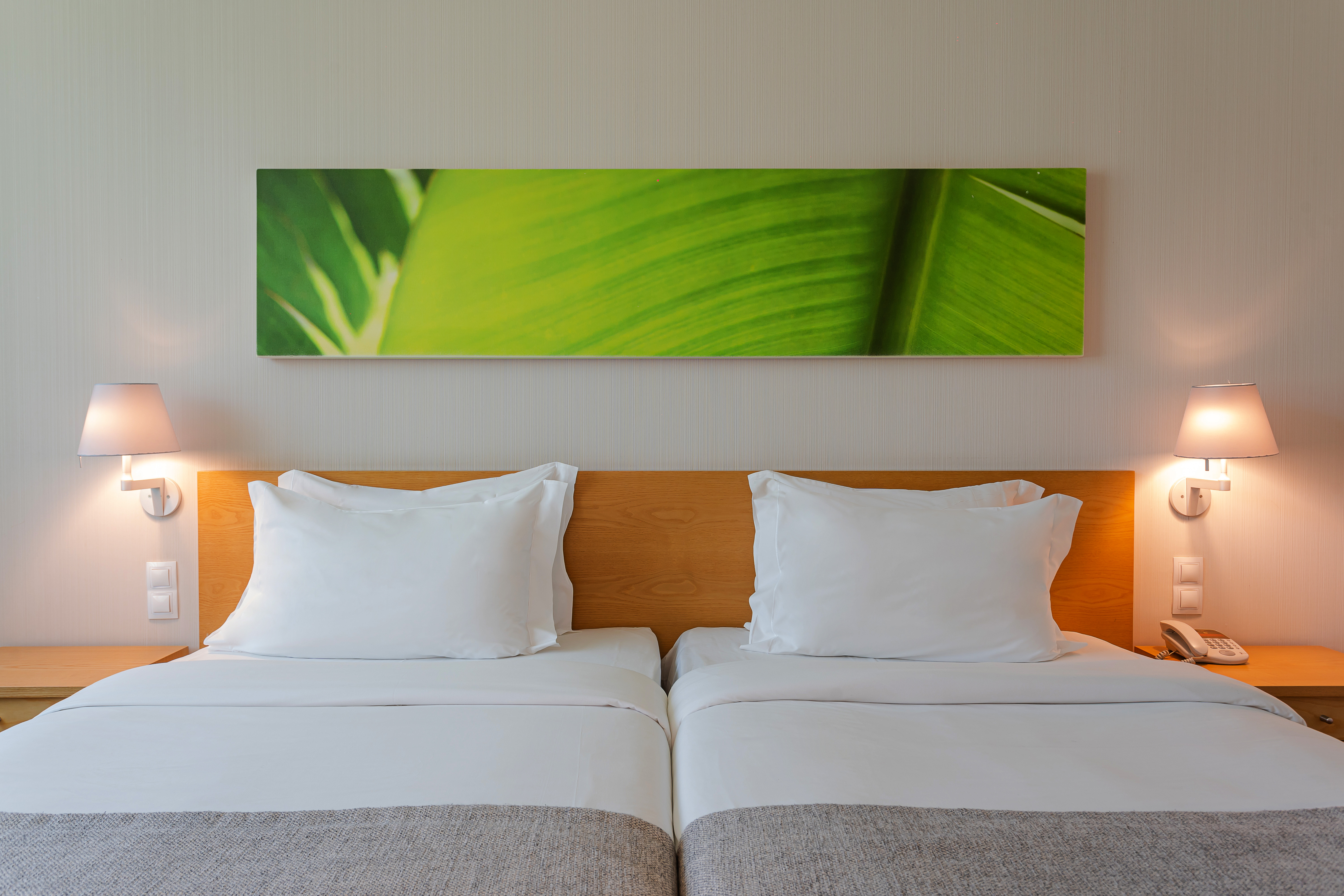 Double or Twin Comfort