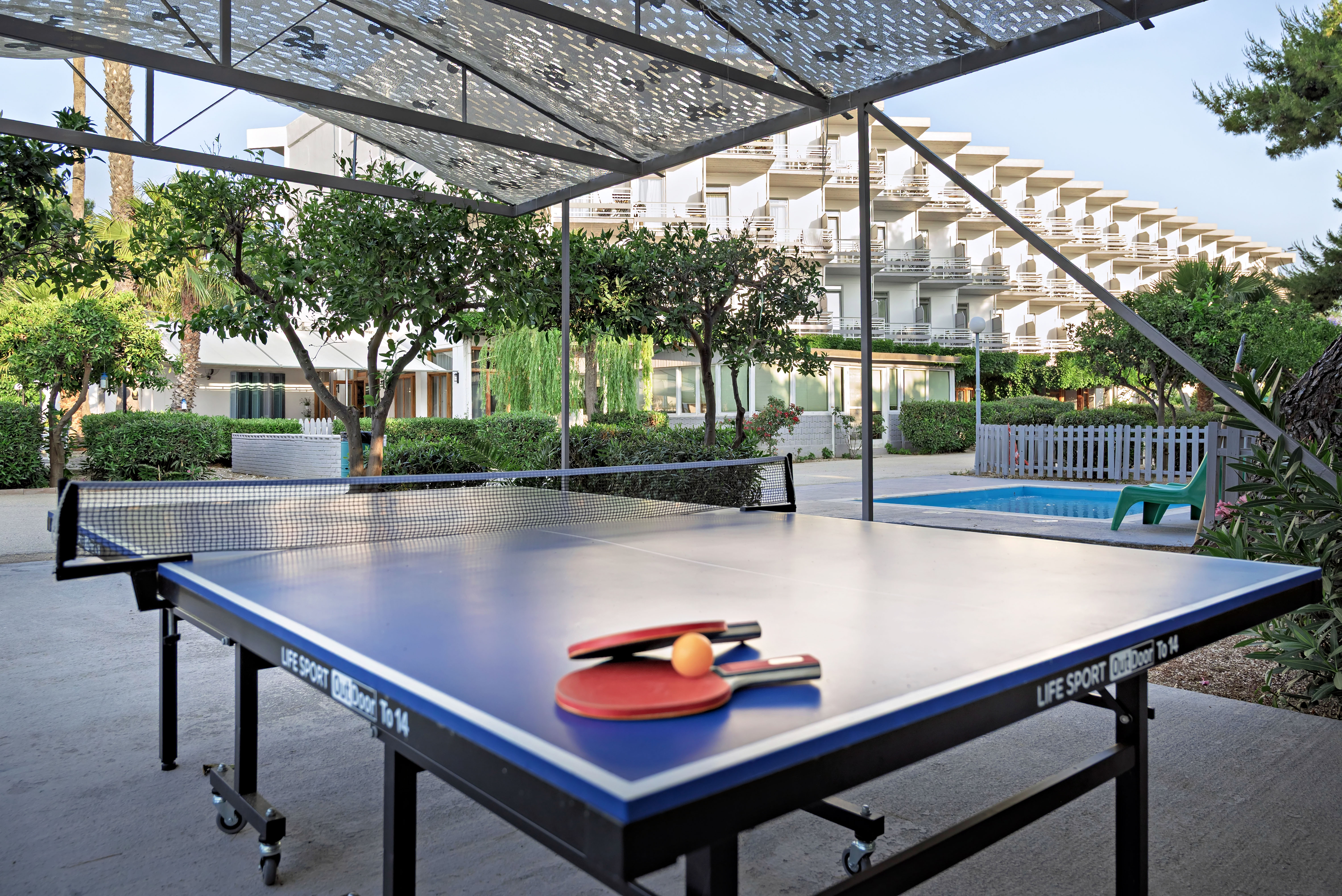 Sports and Entertainment