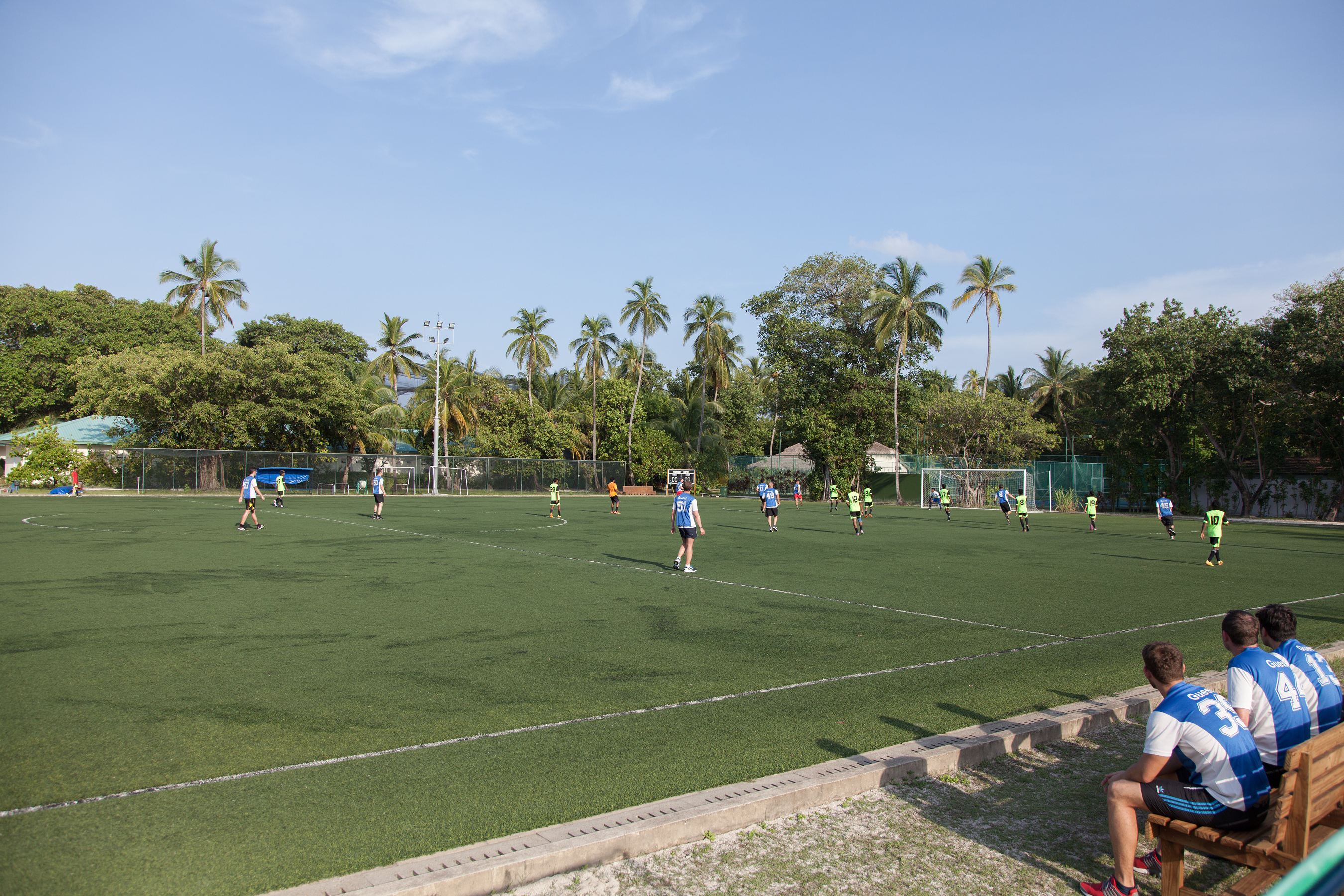 Sports and Entertainment