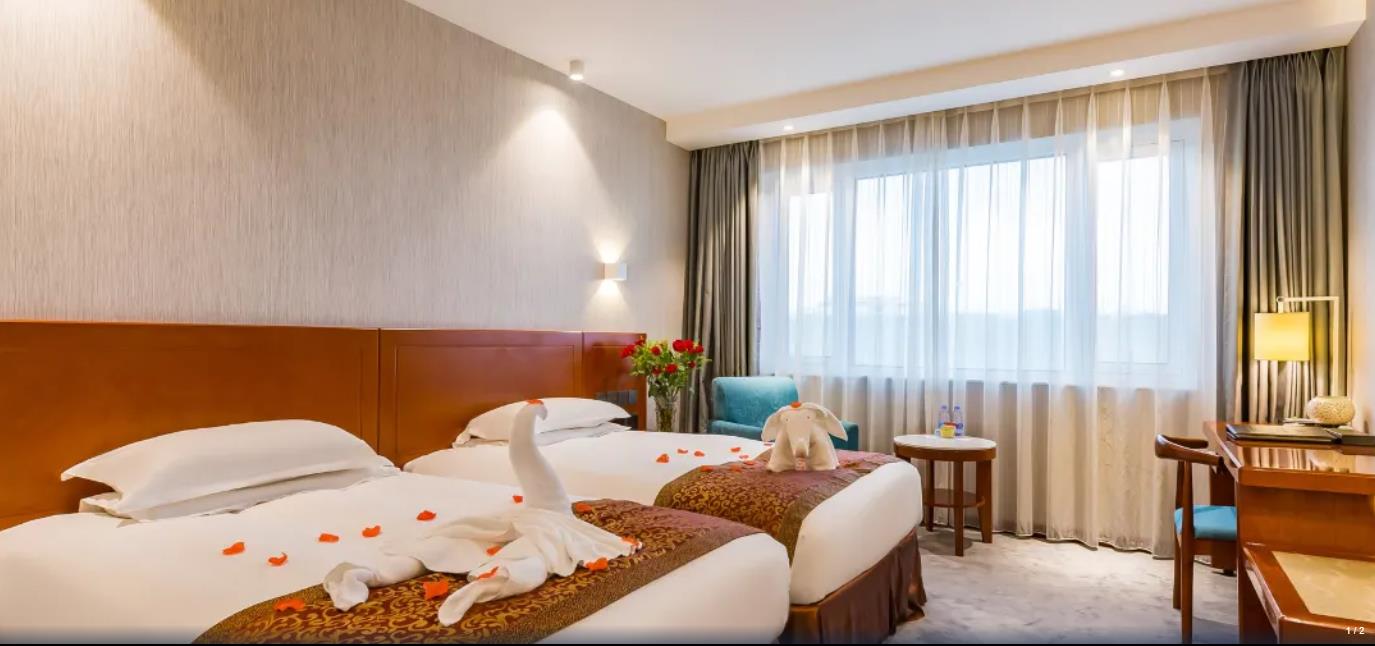 Twin Business Deluxe