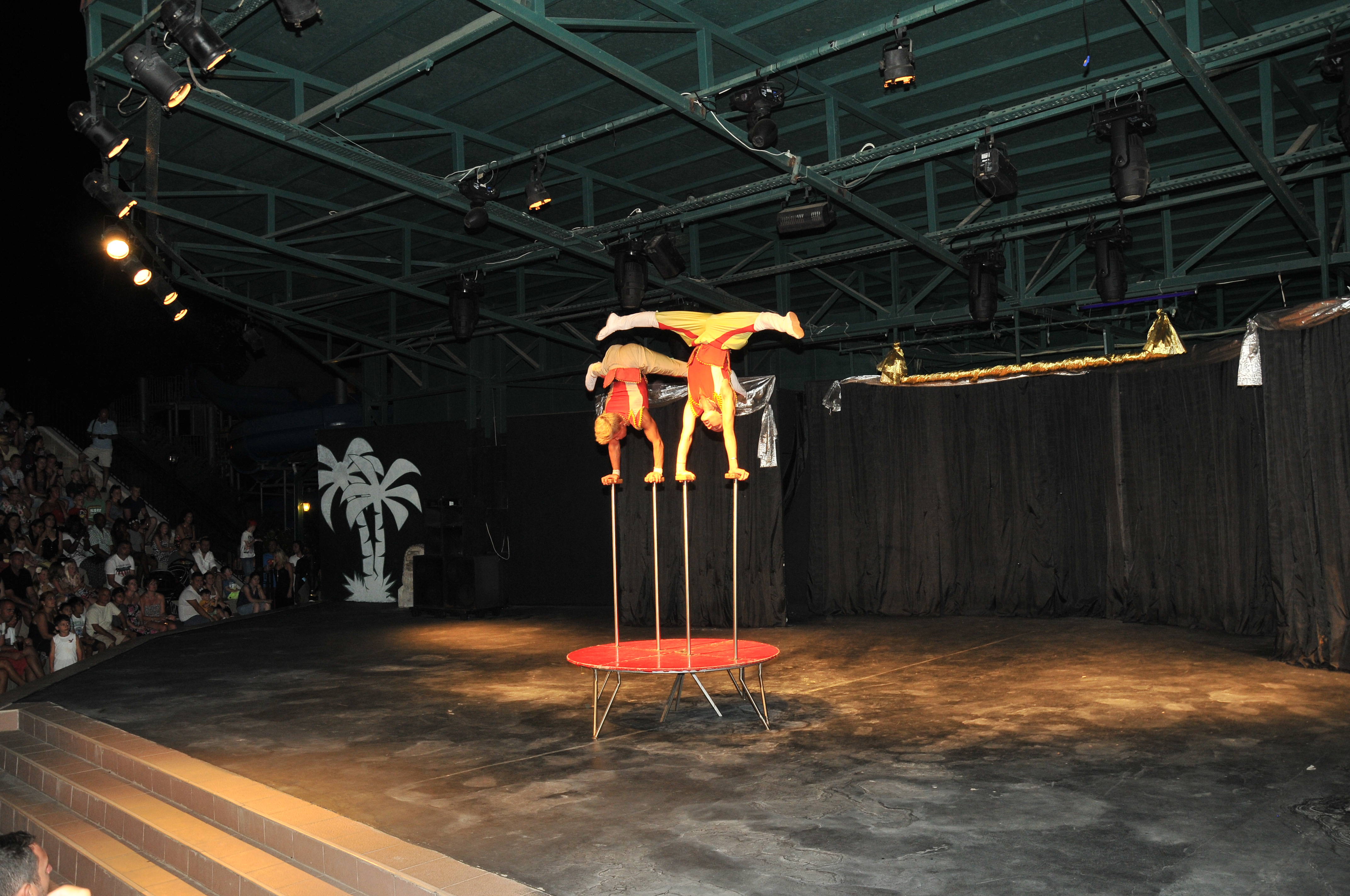 Sports and Entertainment