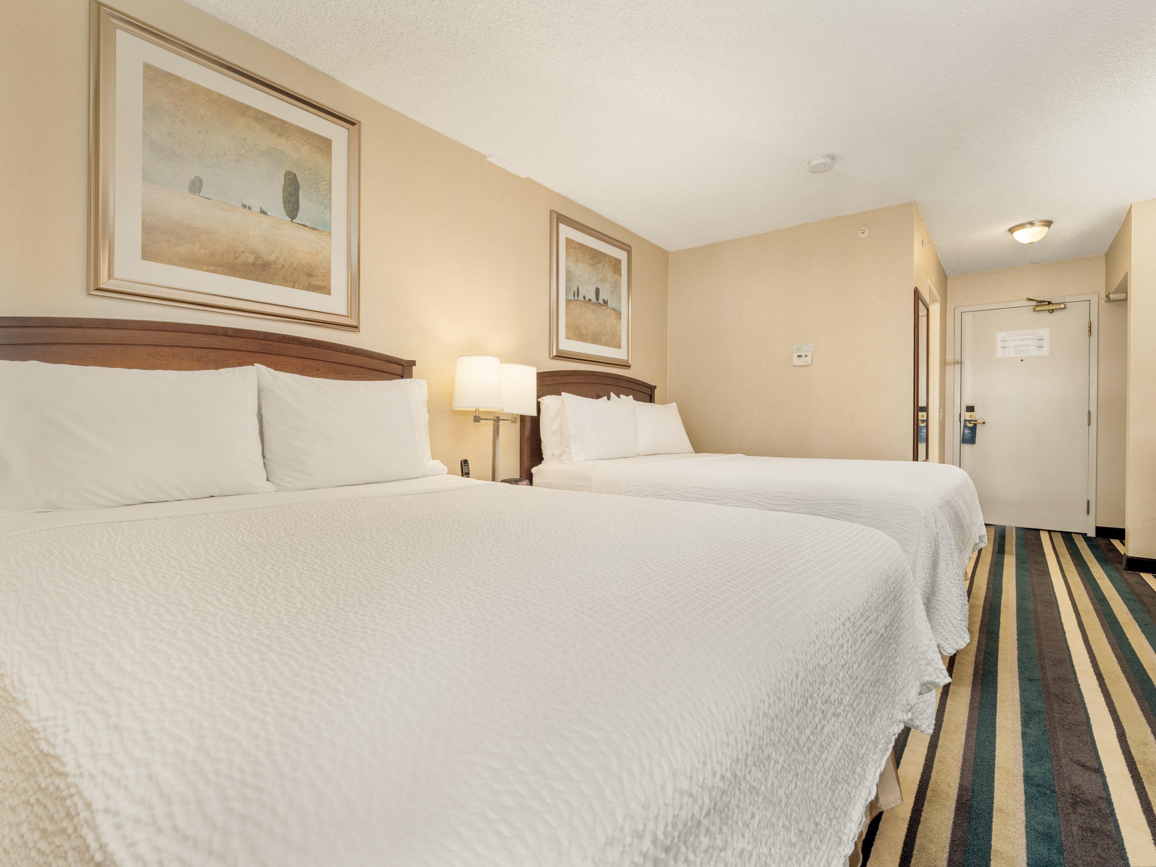 Double Two Queen Beds