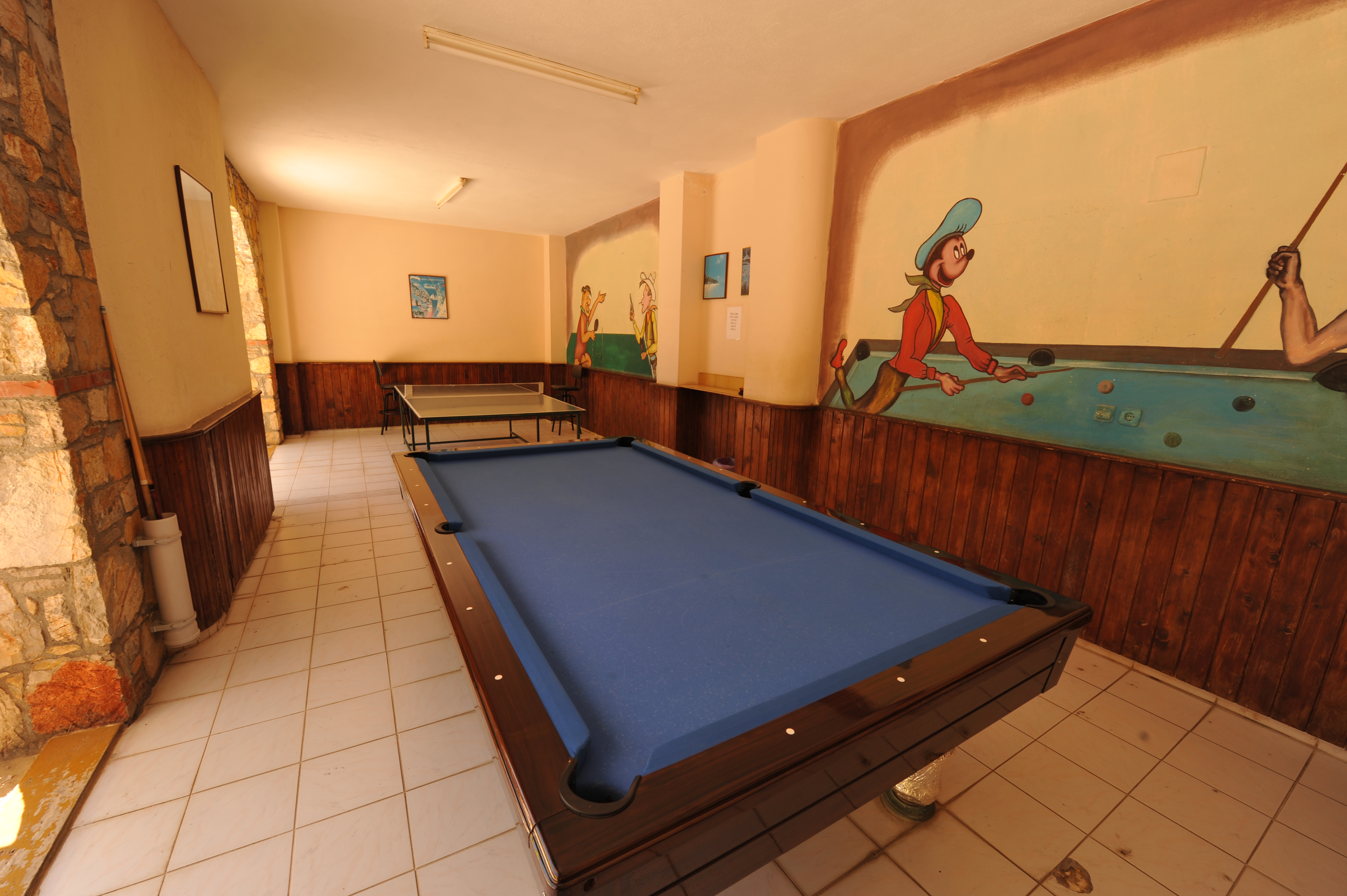 Sports and Entertainment