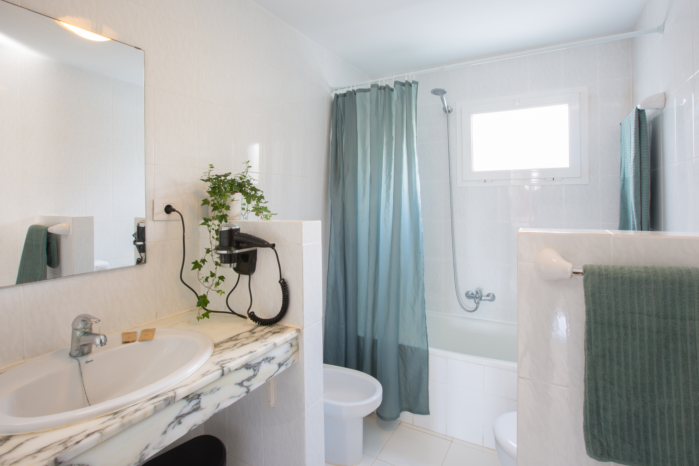 Apartment Garden View