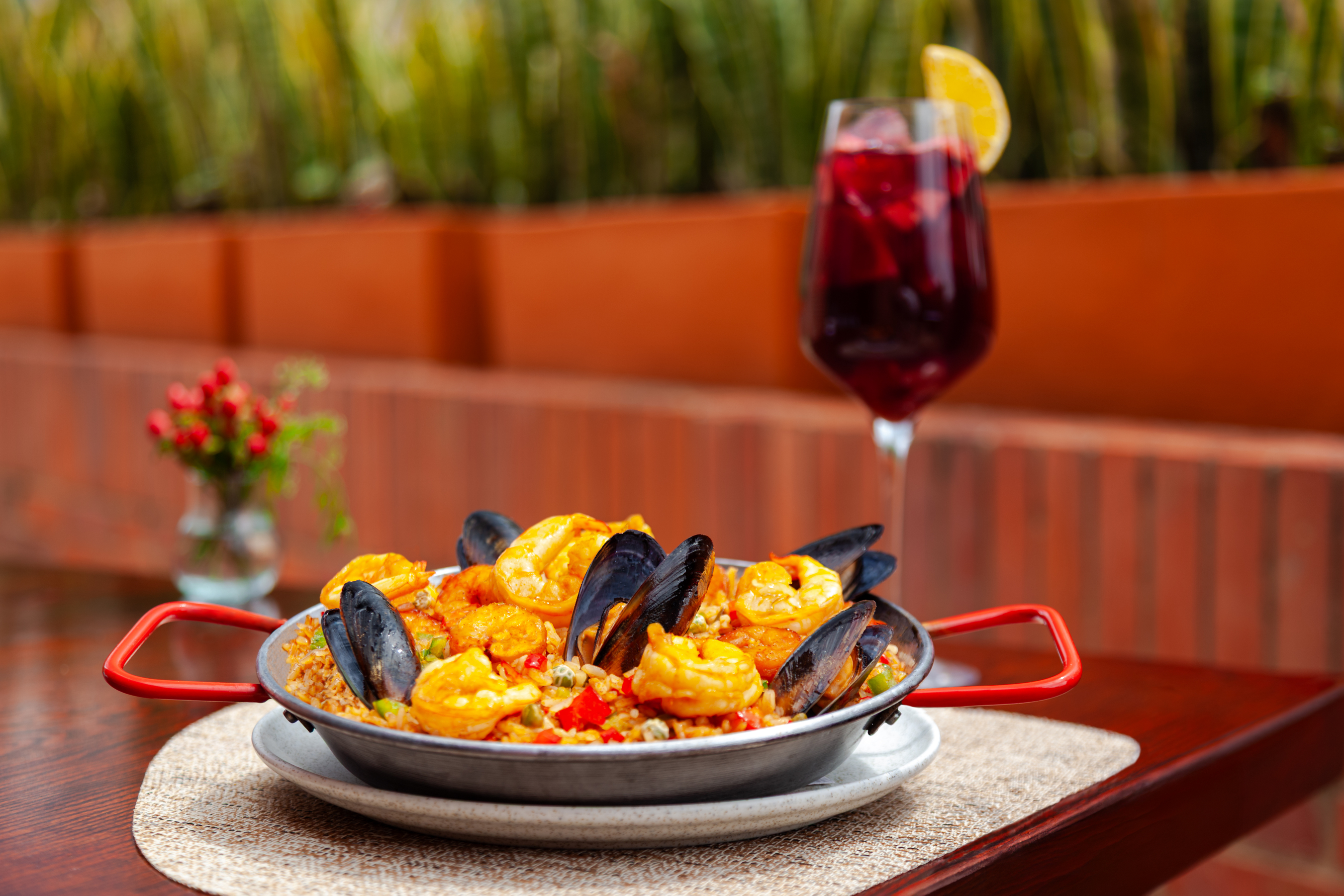 Junior Suite with Terrace