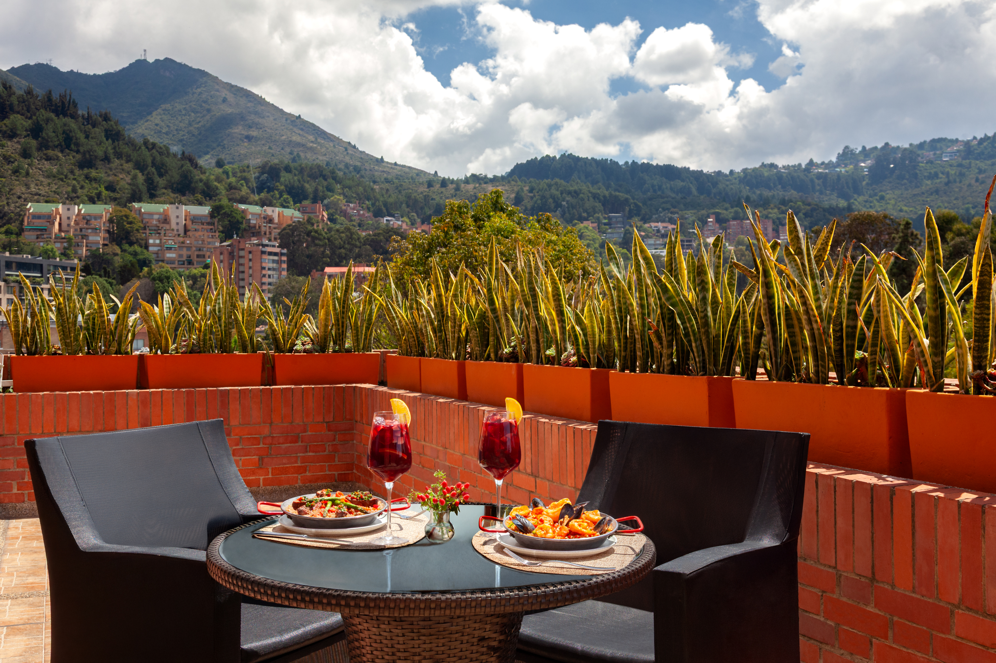 Junior Suite with Terrace