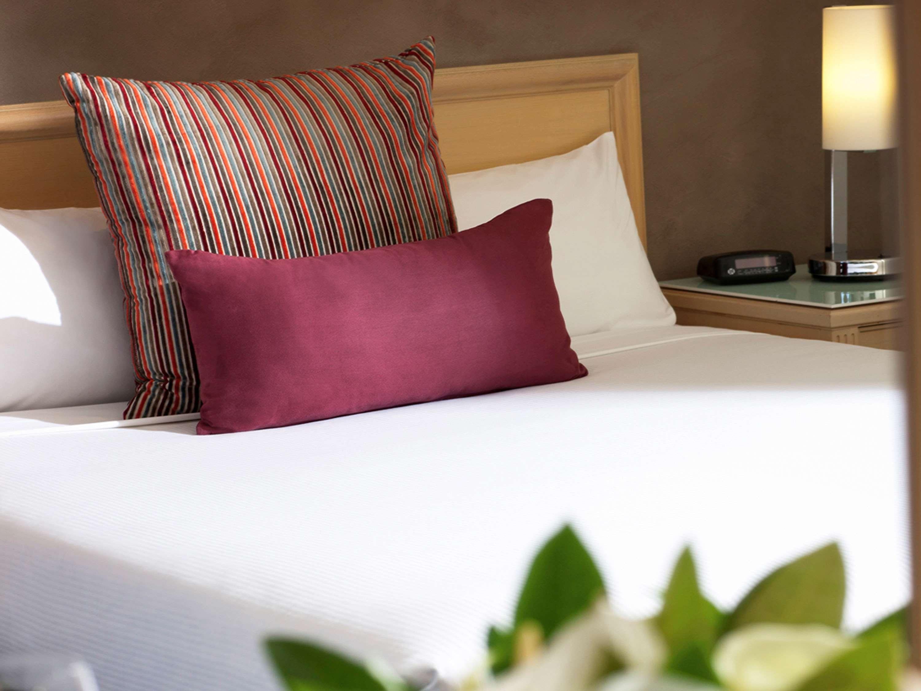 Family Room Premium Queen Bed