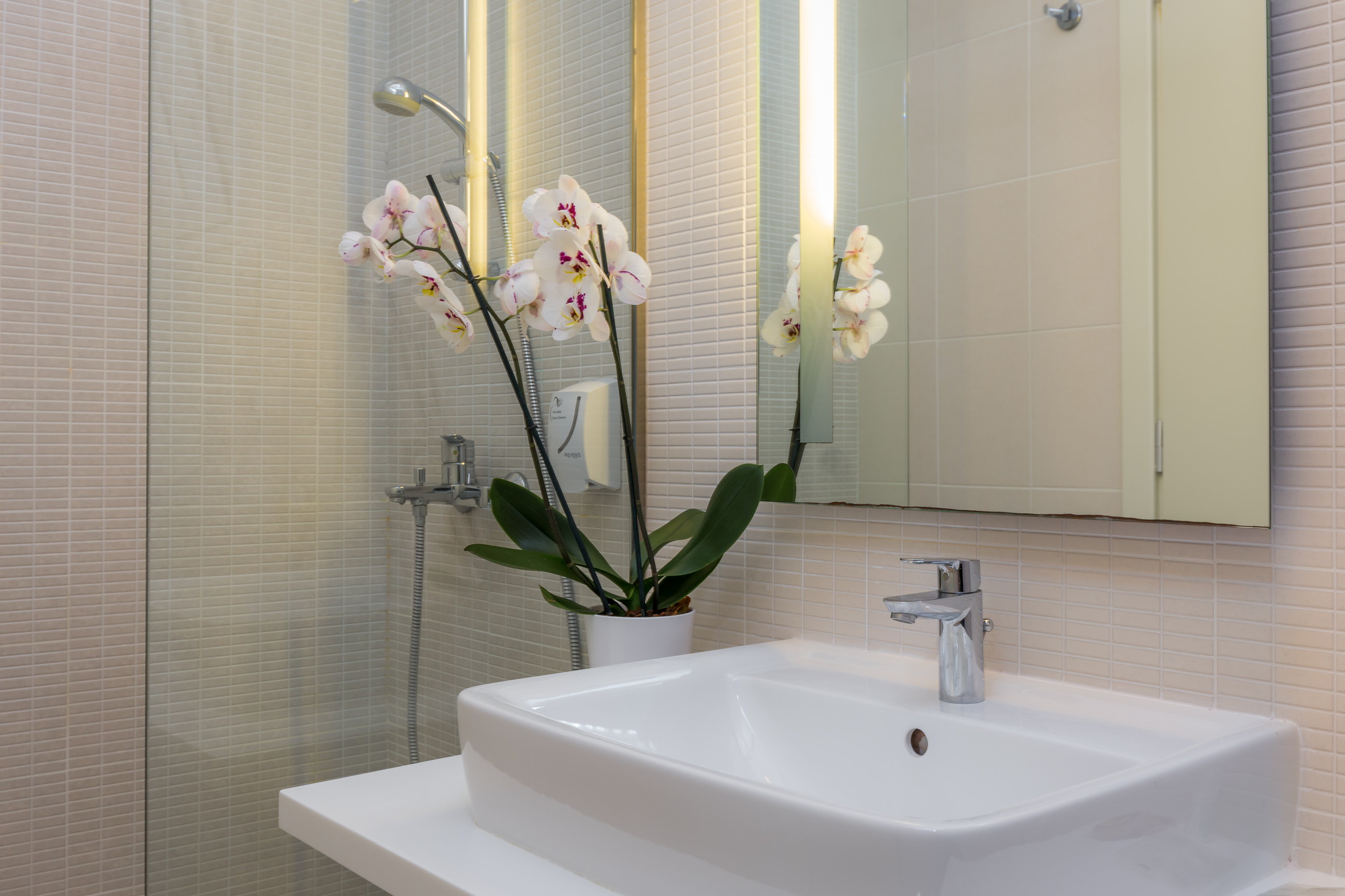 Double or Twin Superior