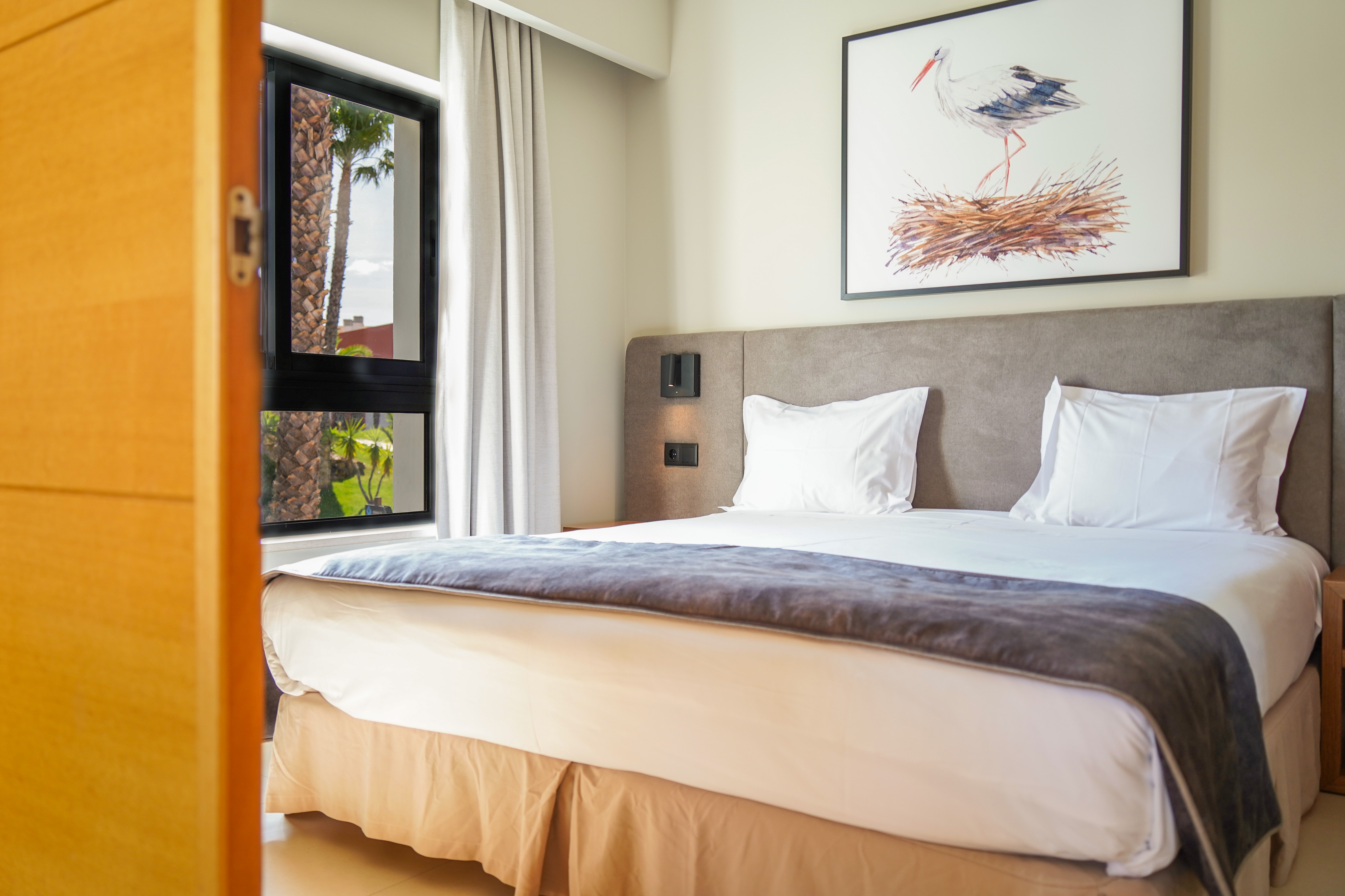 Apartment Premium One Bedroom