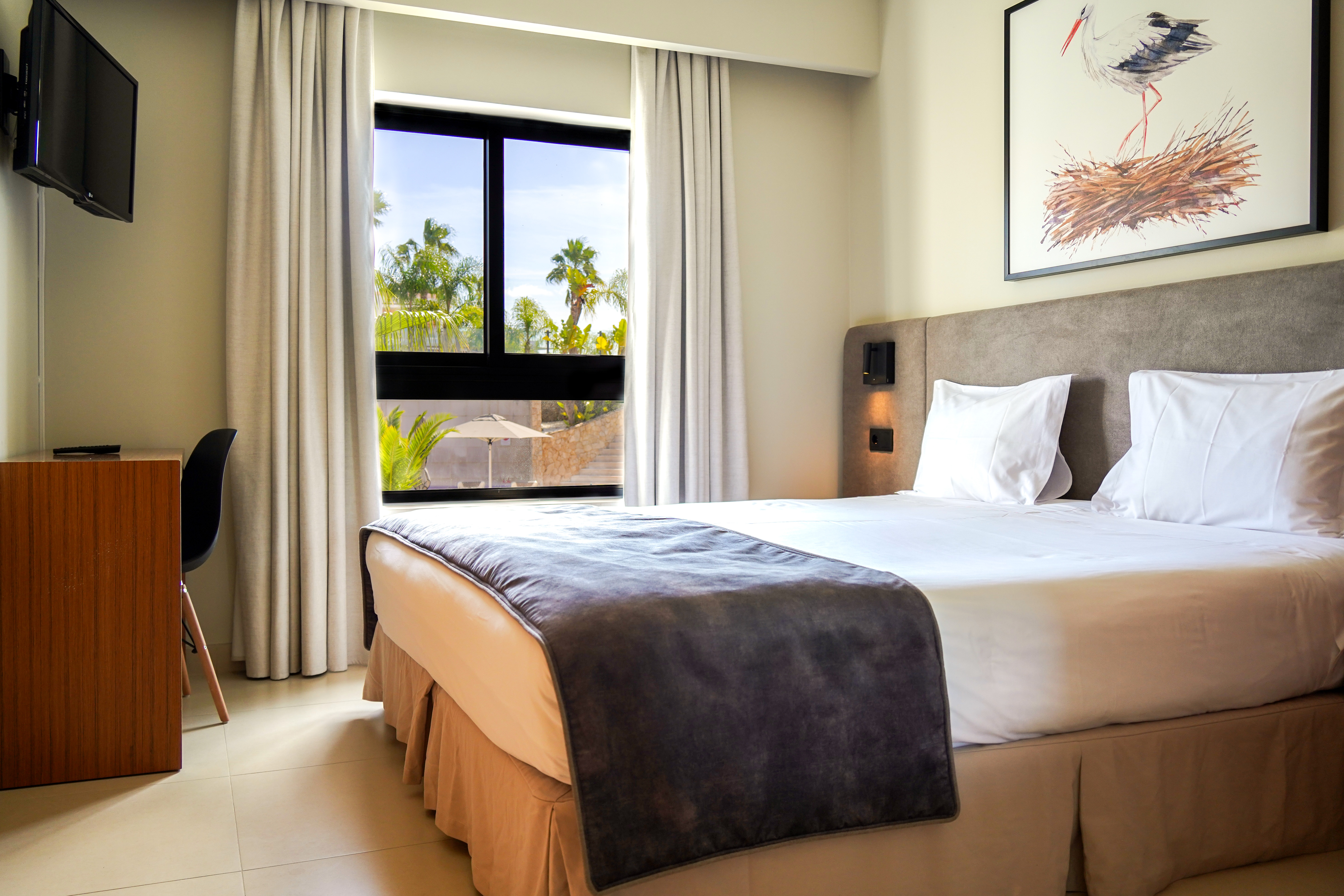 Apartment Premium One Bedroom