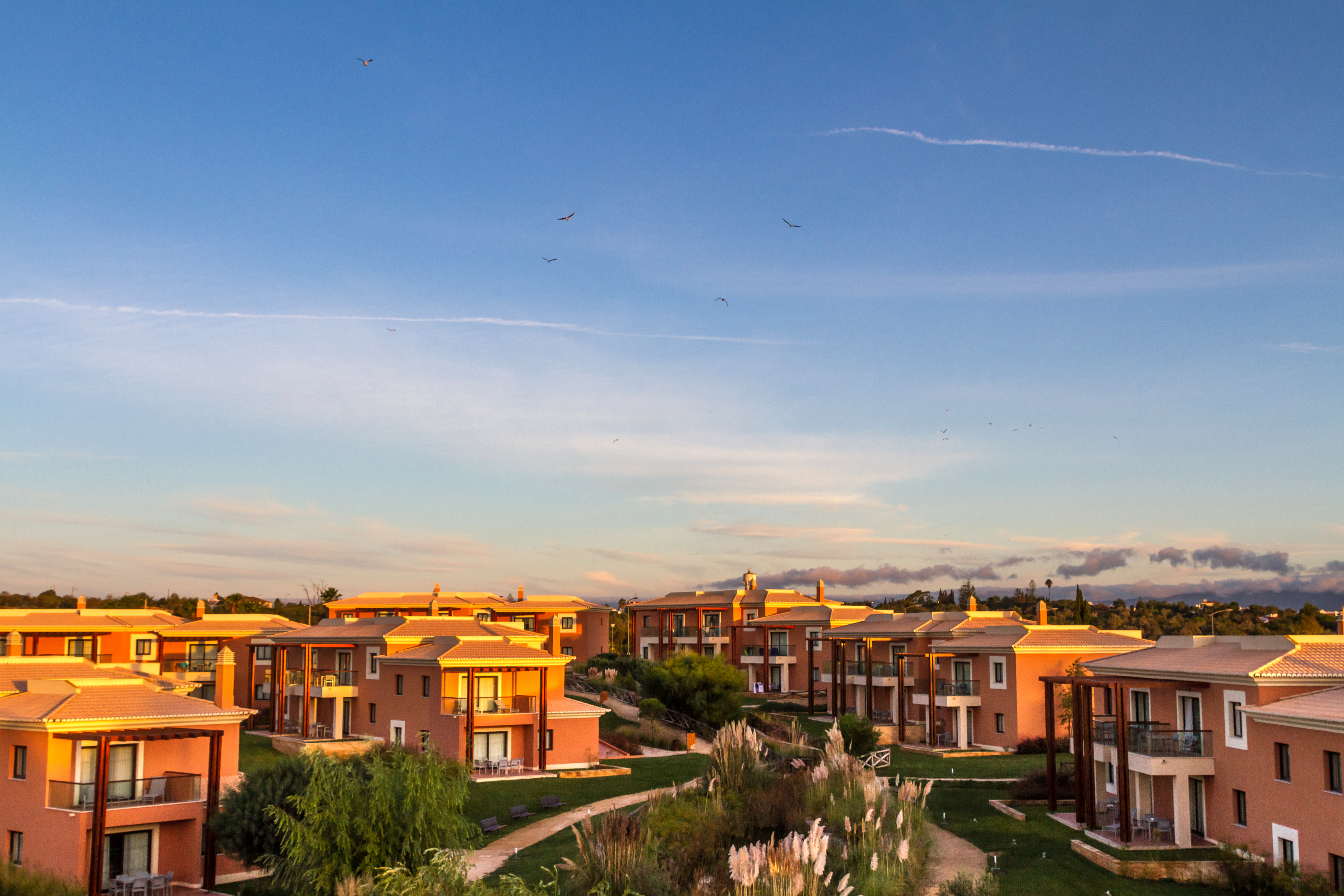 Apartment One Bedroom
