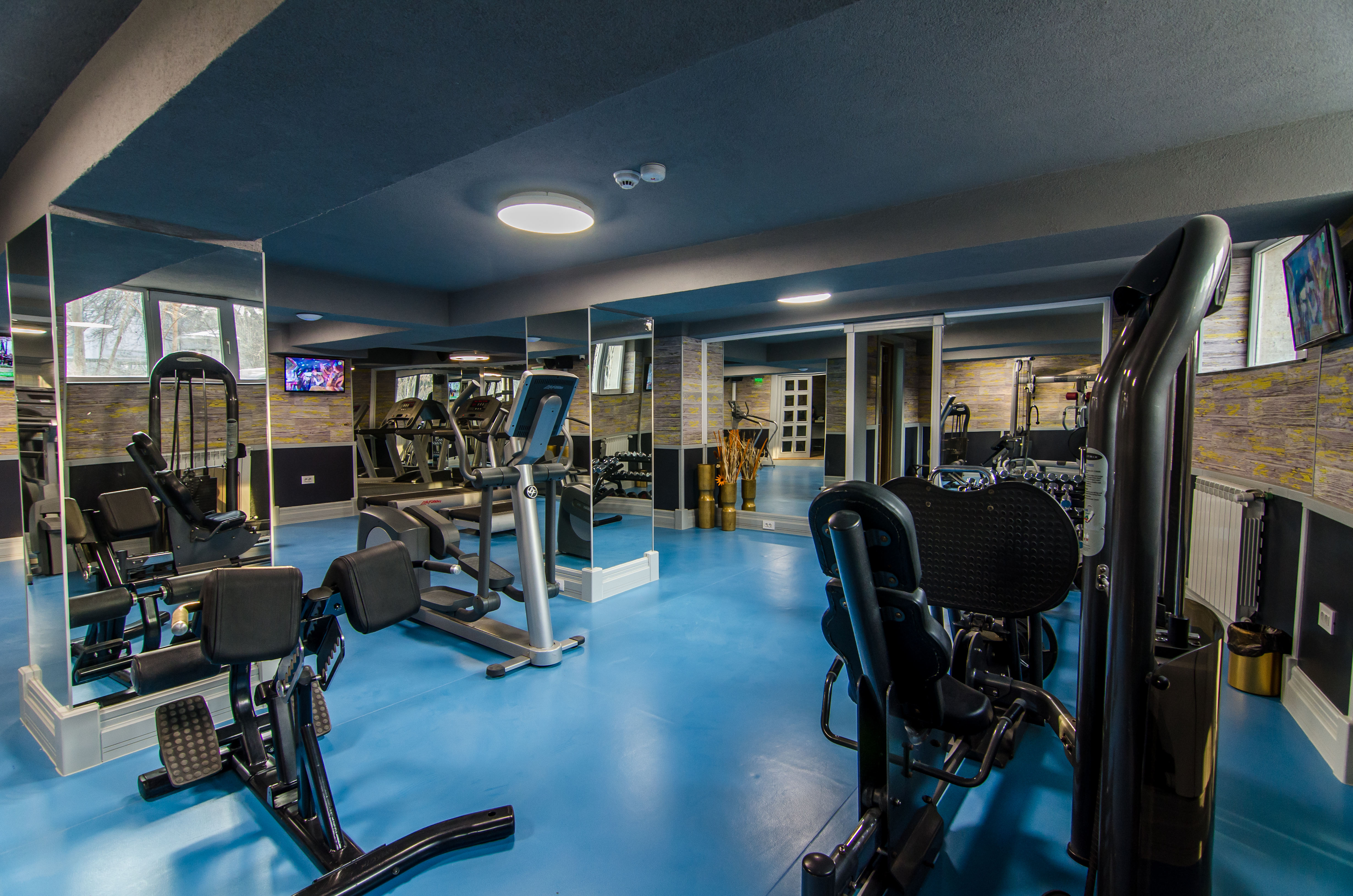 Sports and Entertainment