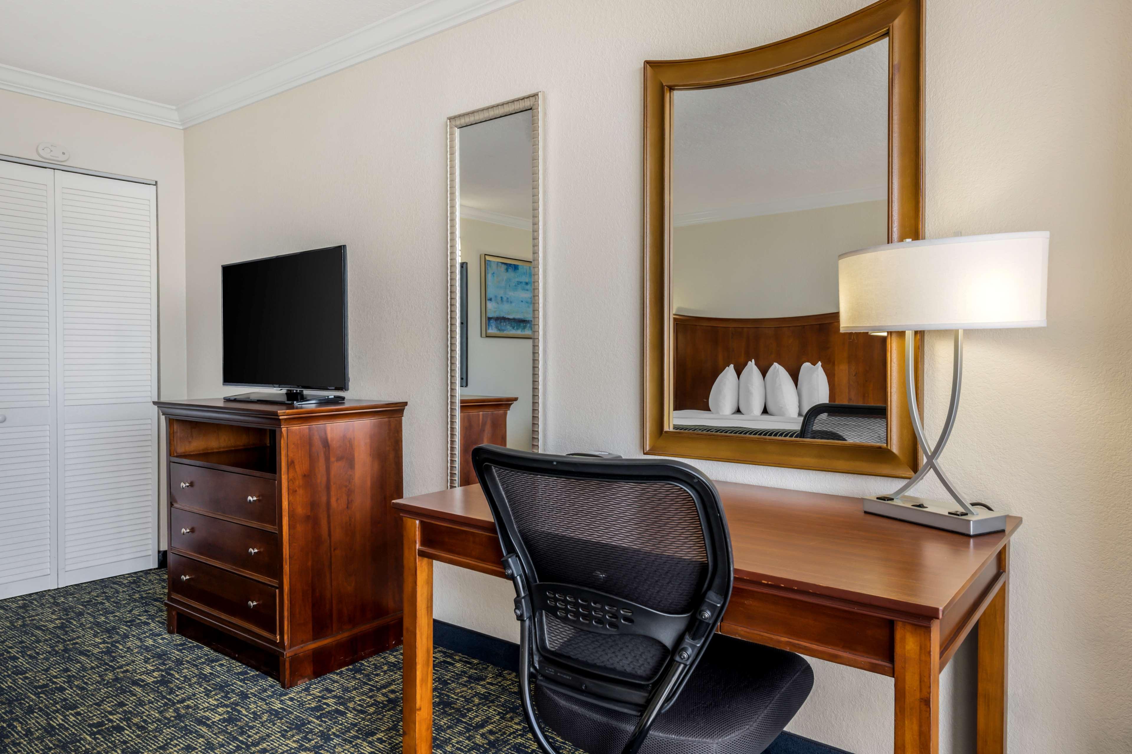 Suite King Bed One Bedroom 