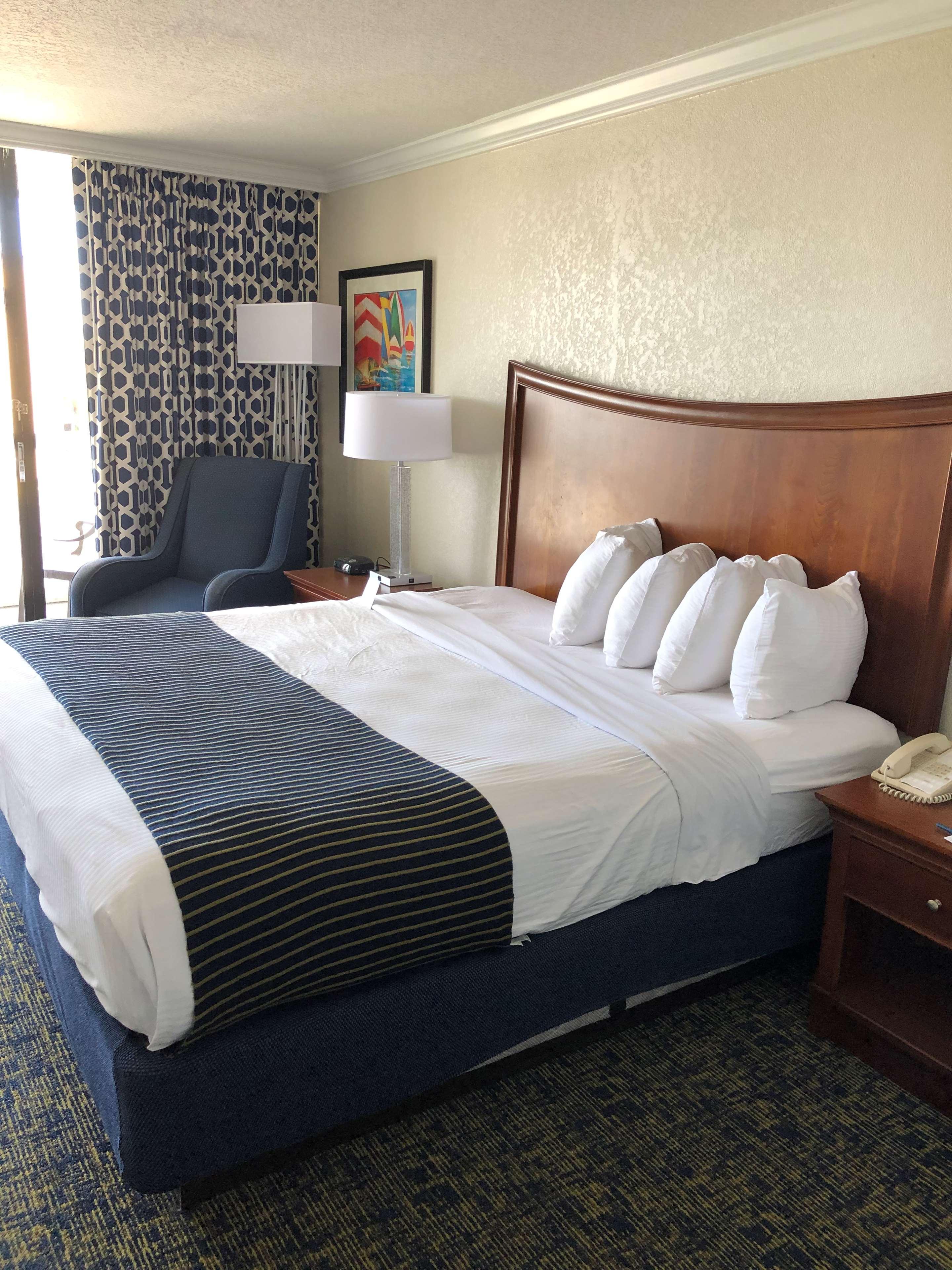 Suite King Bed One Bedroom 