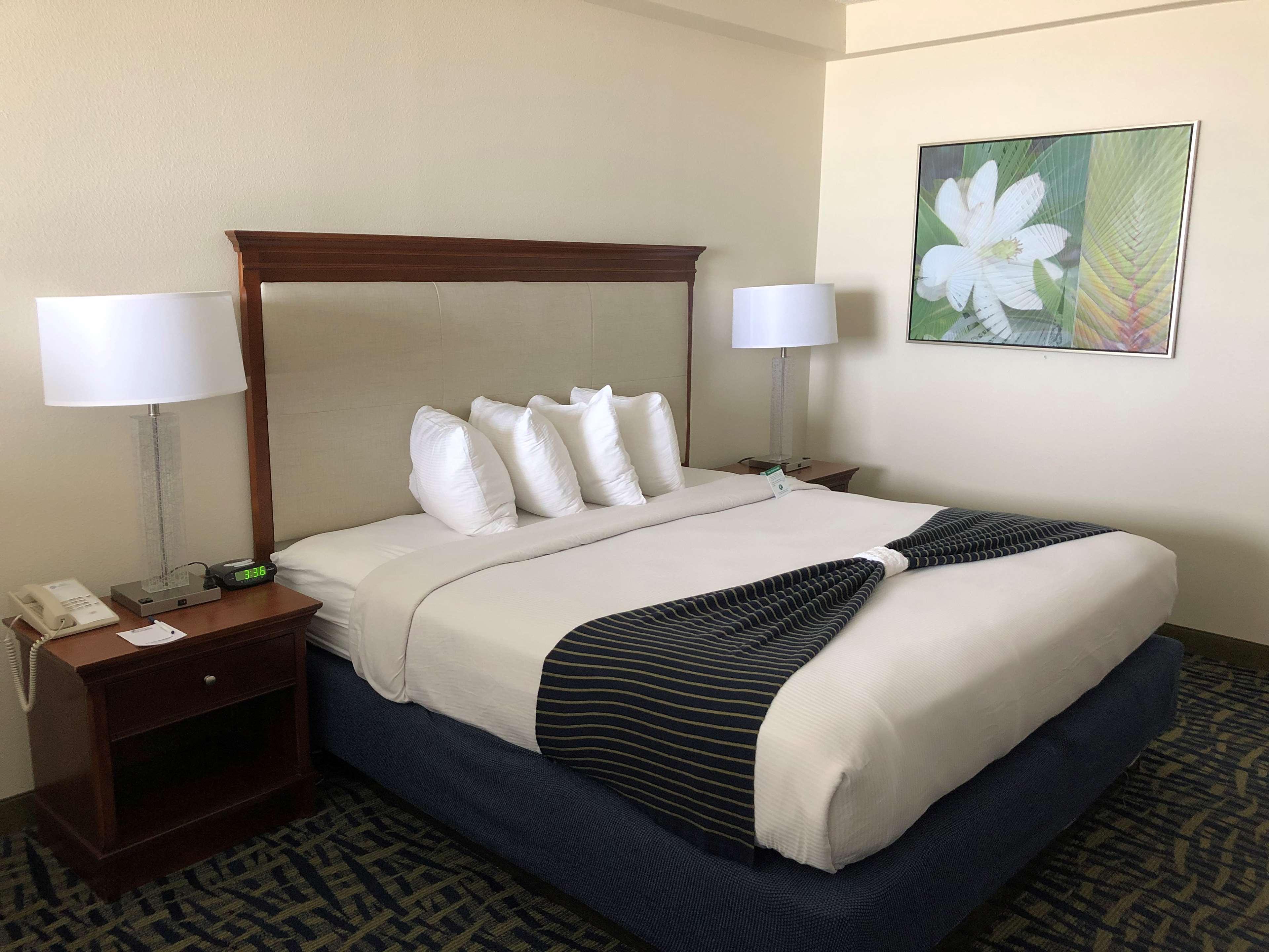 Junior Suite Ocean Front King Bed