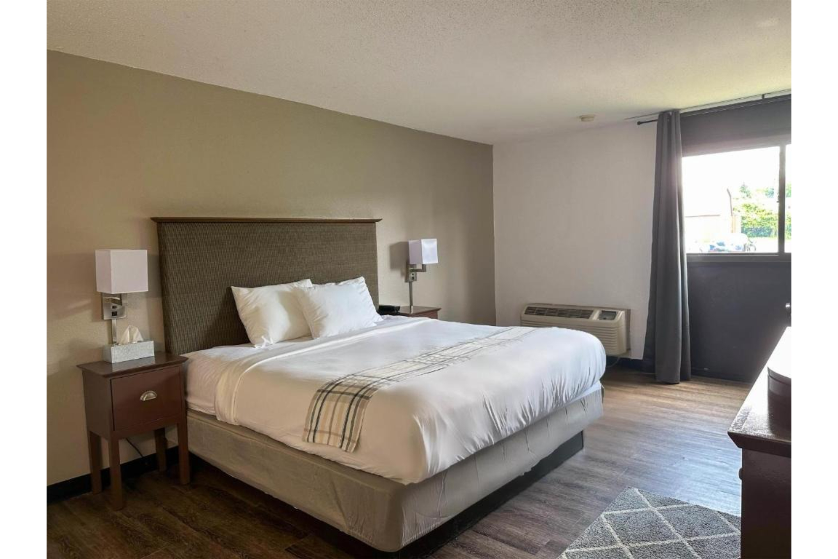 Room King Size Bed