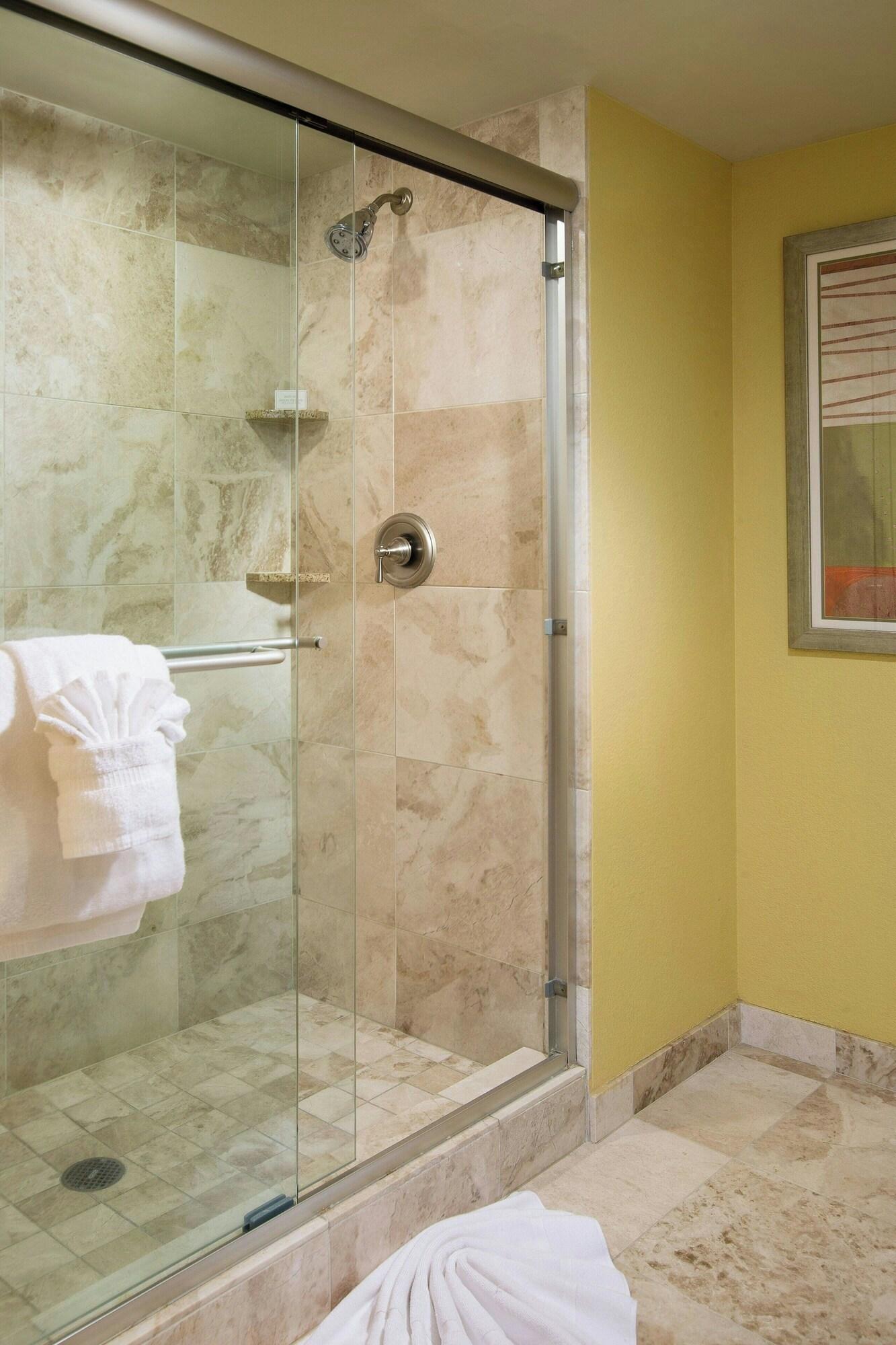 Suite King Bed One Bedroom 