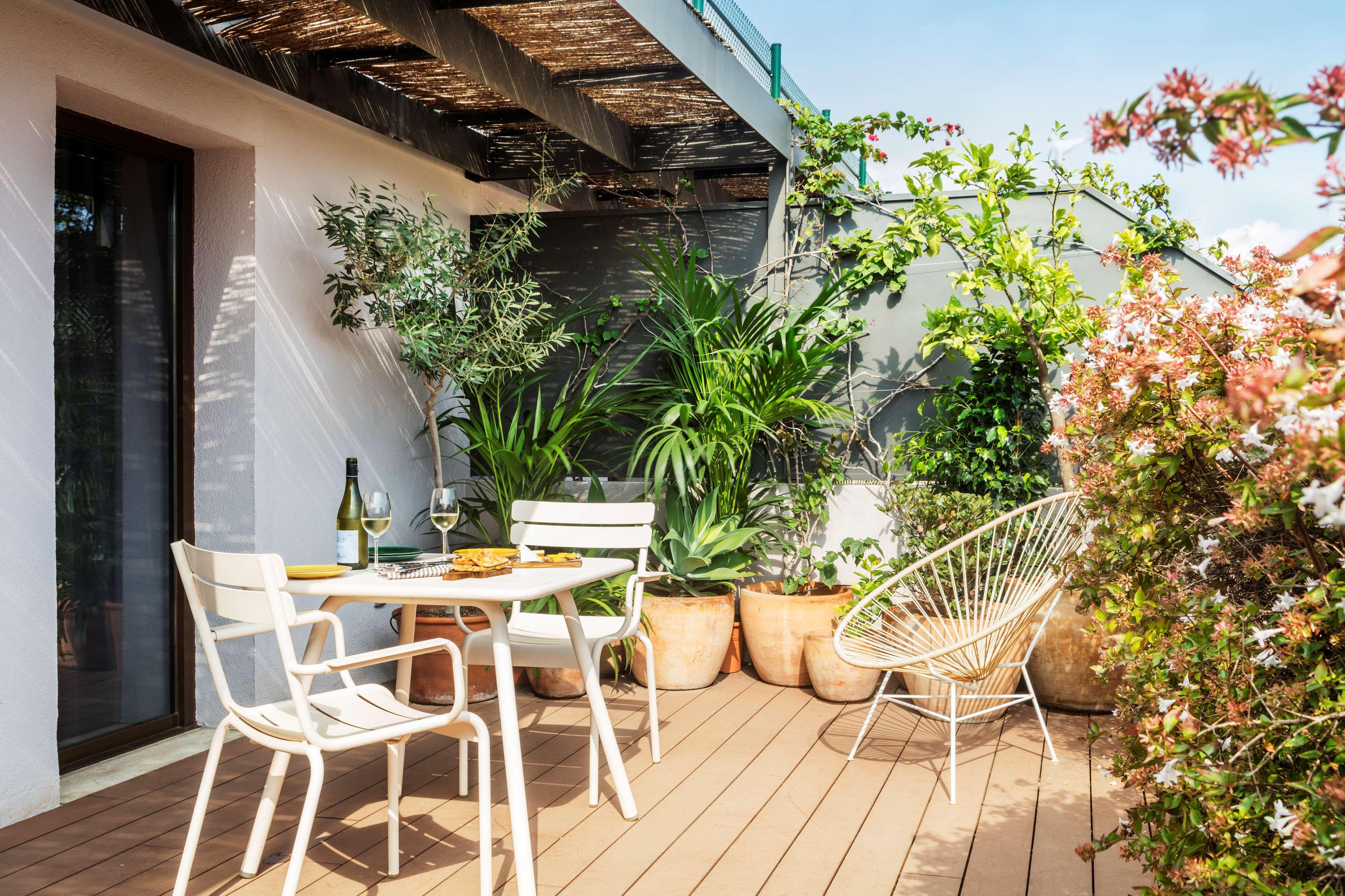 Junior Suite with Terrace