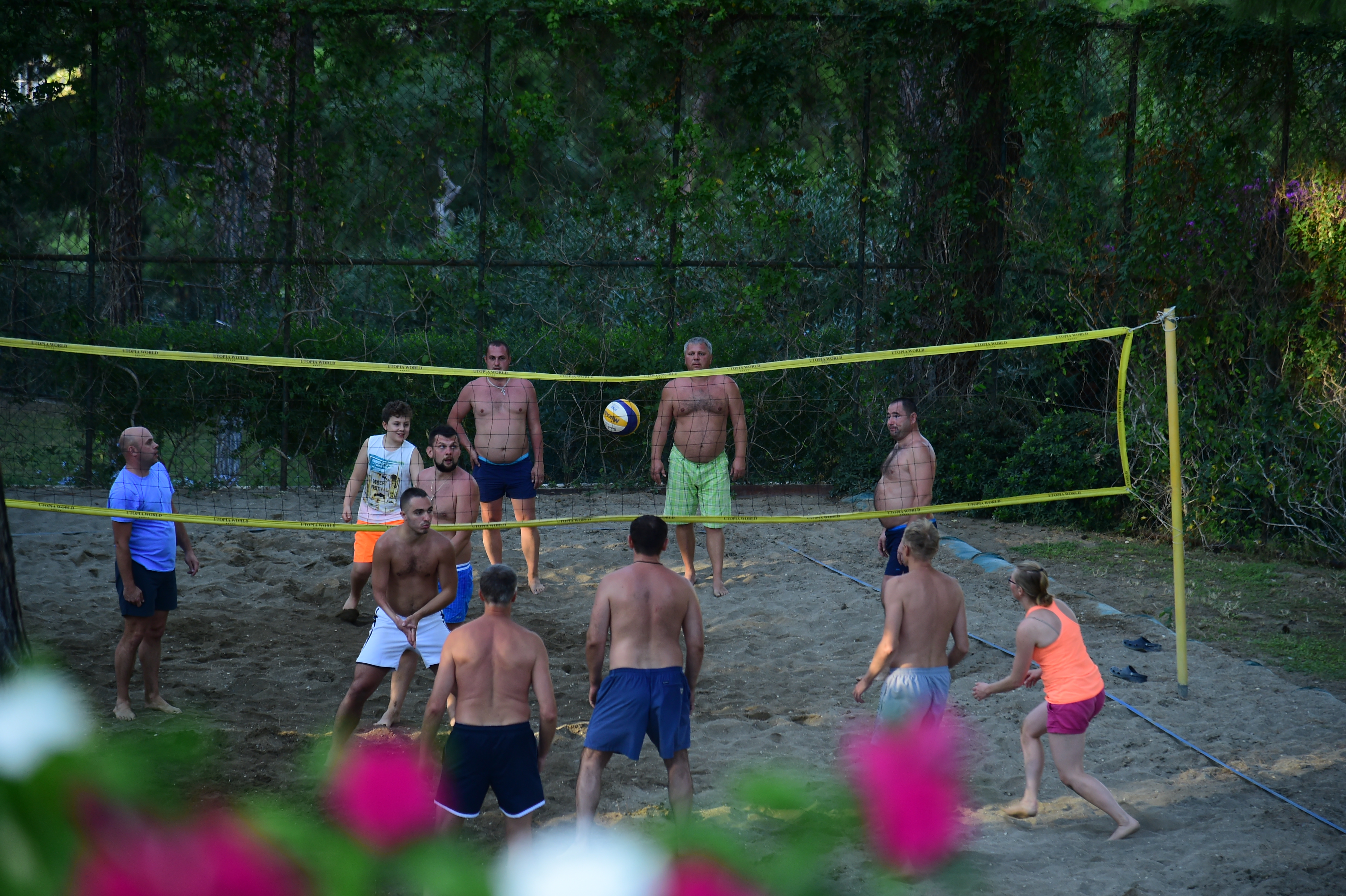 Sports and Entertainment