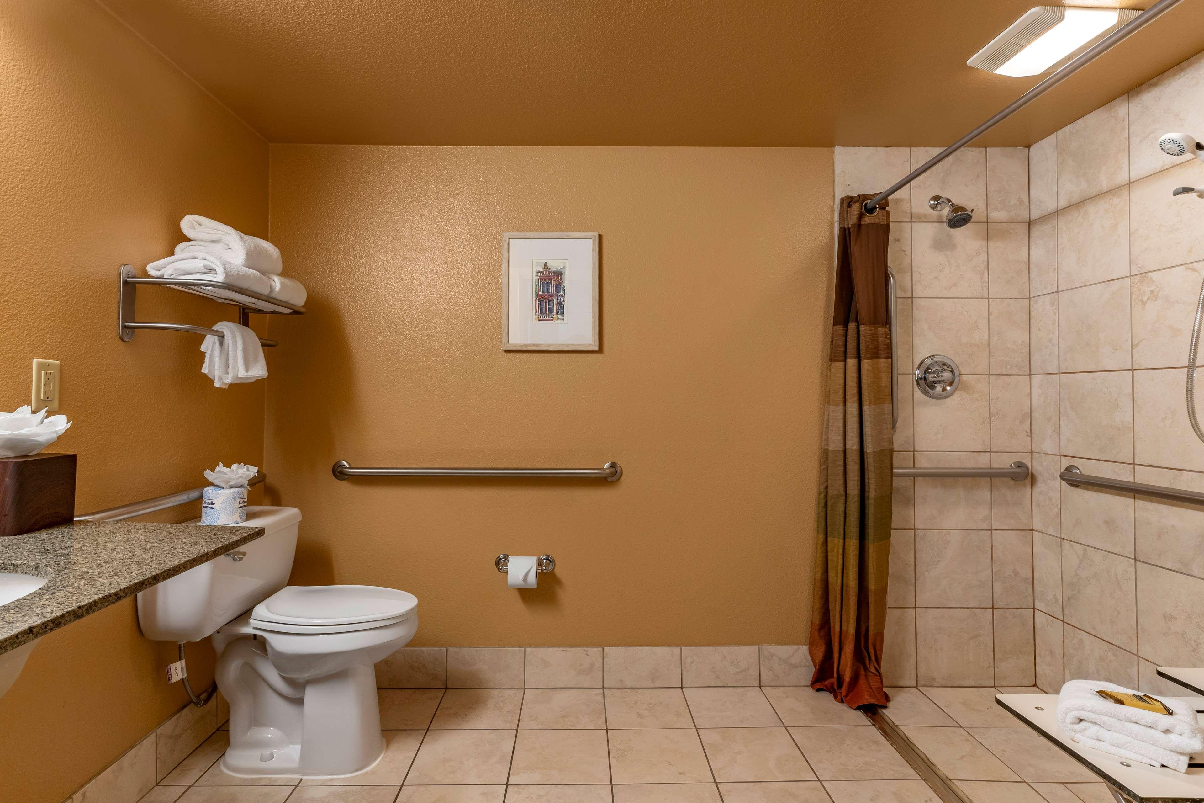 Double Accessible King Size Bed