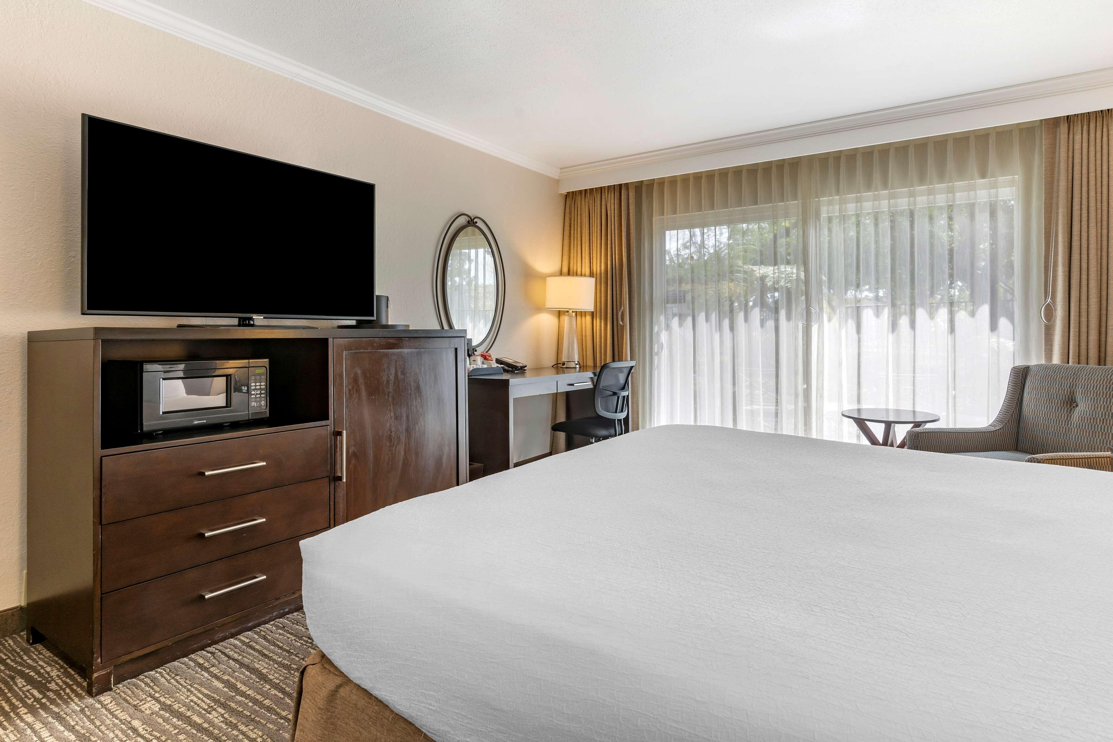 Double King Bed Non Smoking