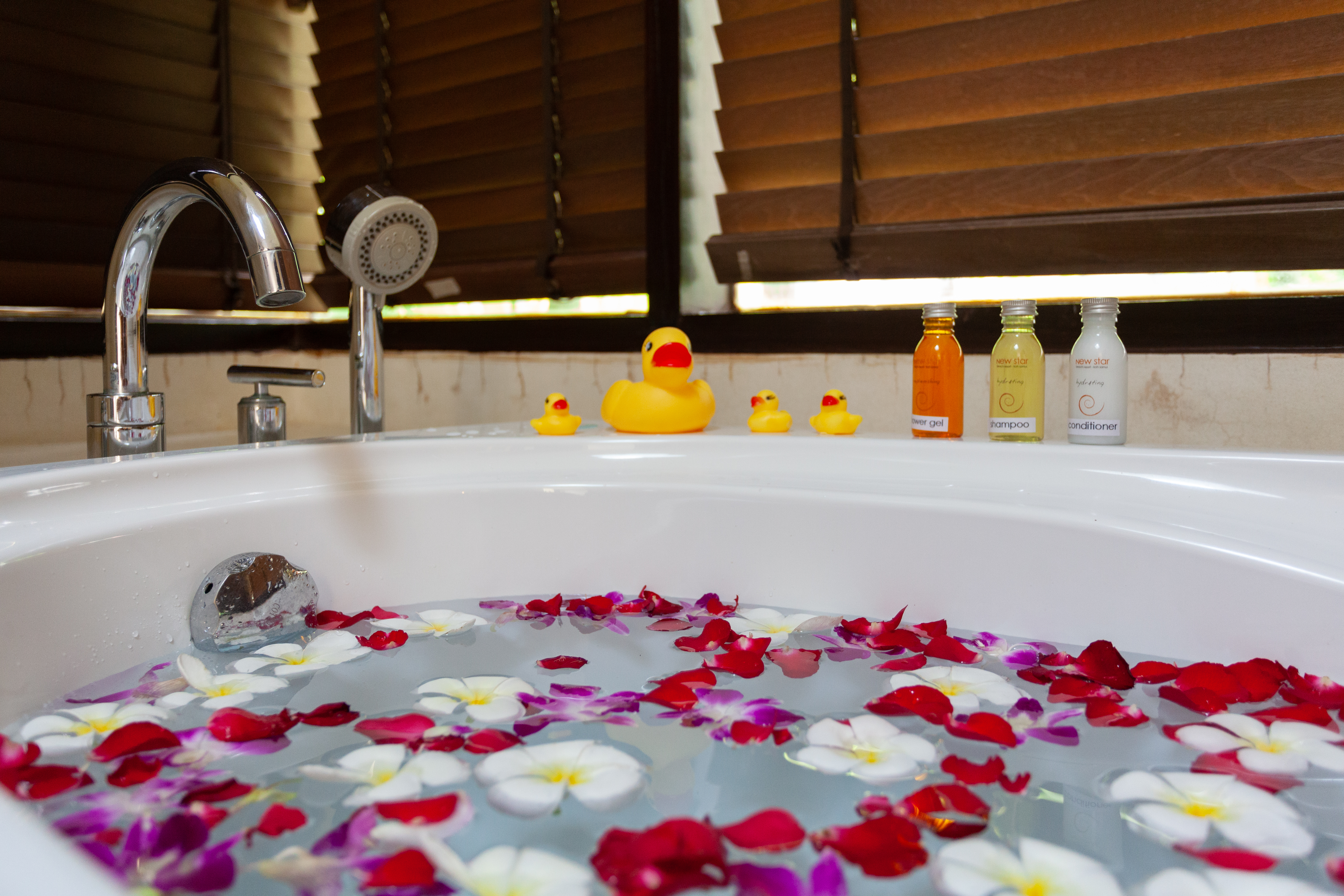 Double or Twin Deluxe with Balcony