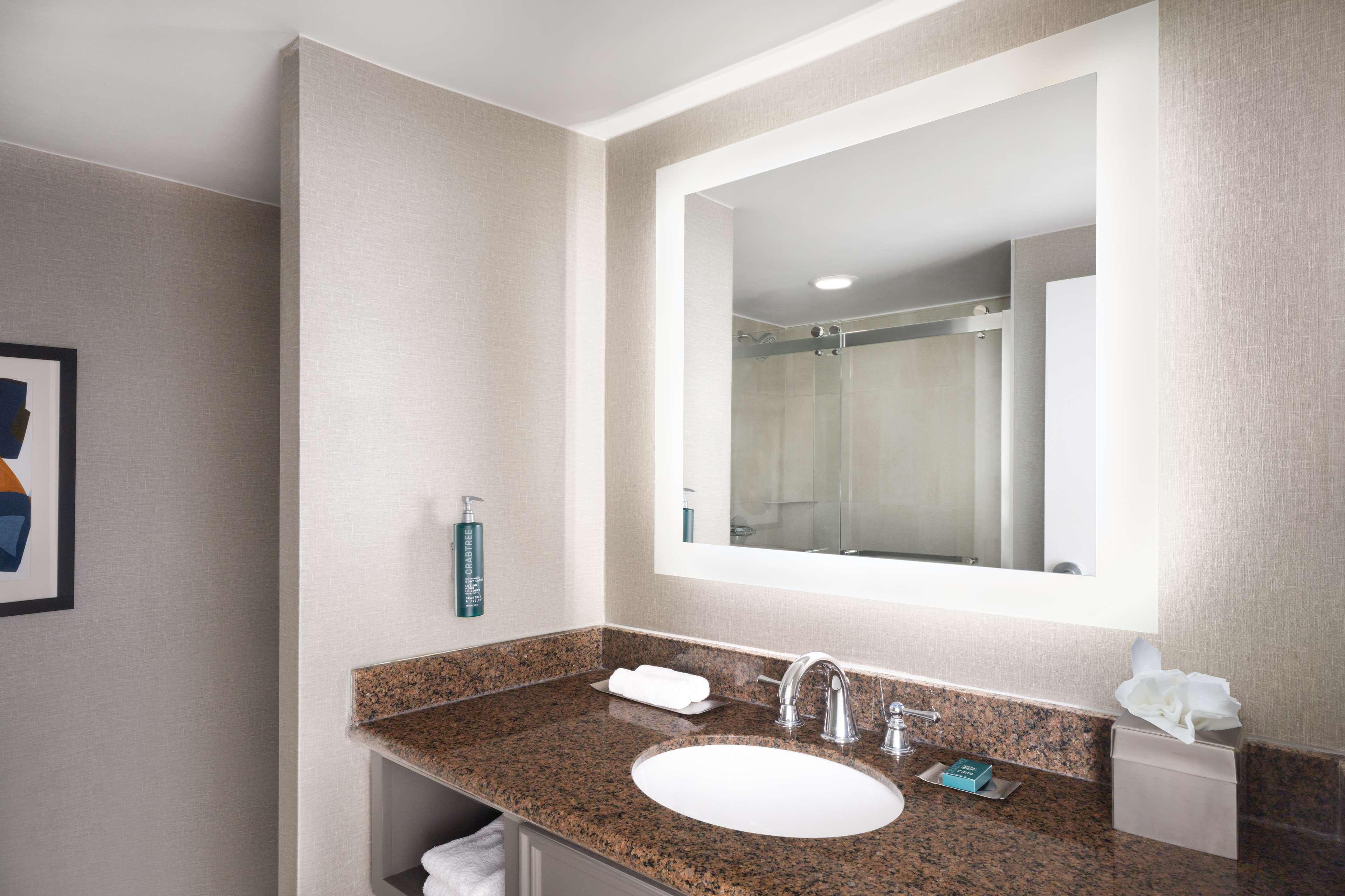 Suite King Bed One Bedroom 