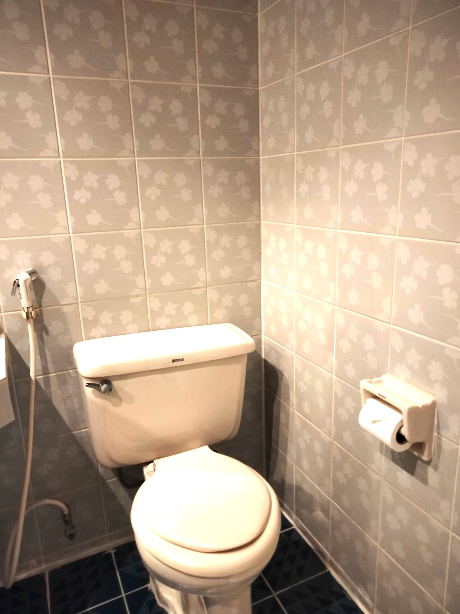 Double or Twin Basic