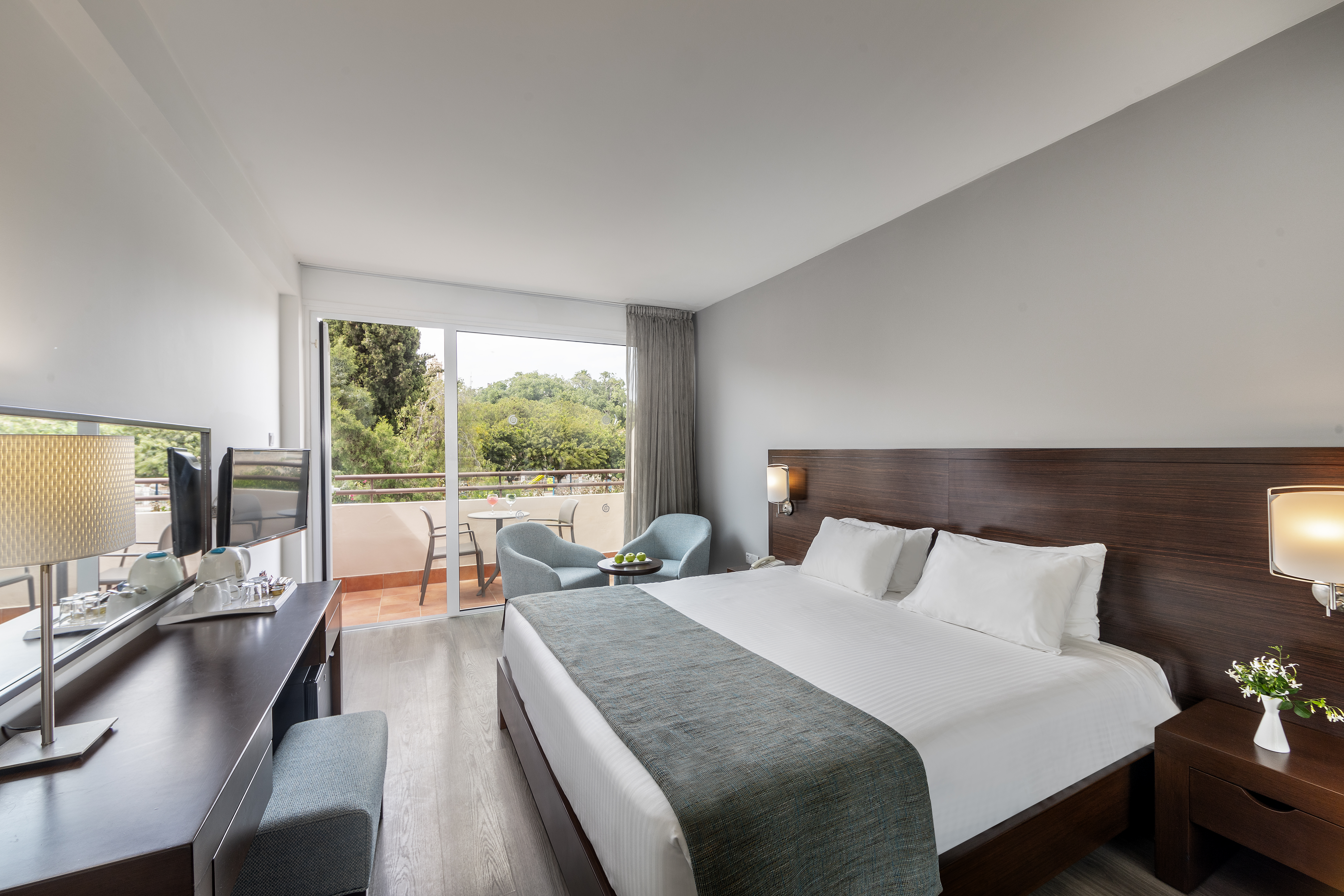 Double or Twin Superior