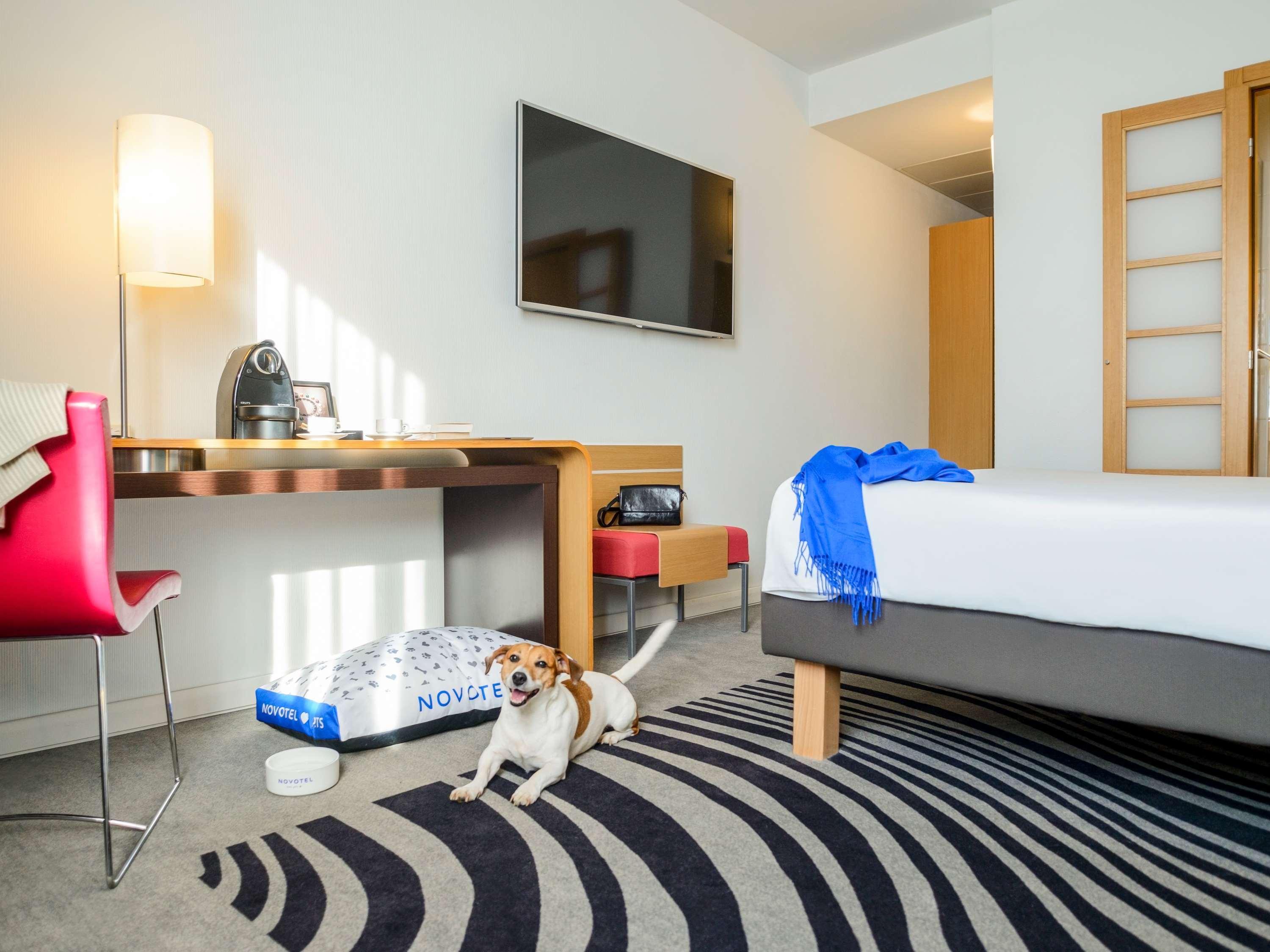 Double Executive King Bed