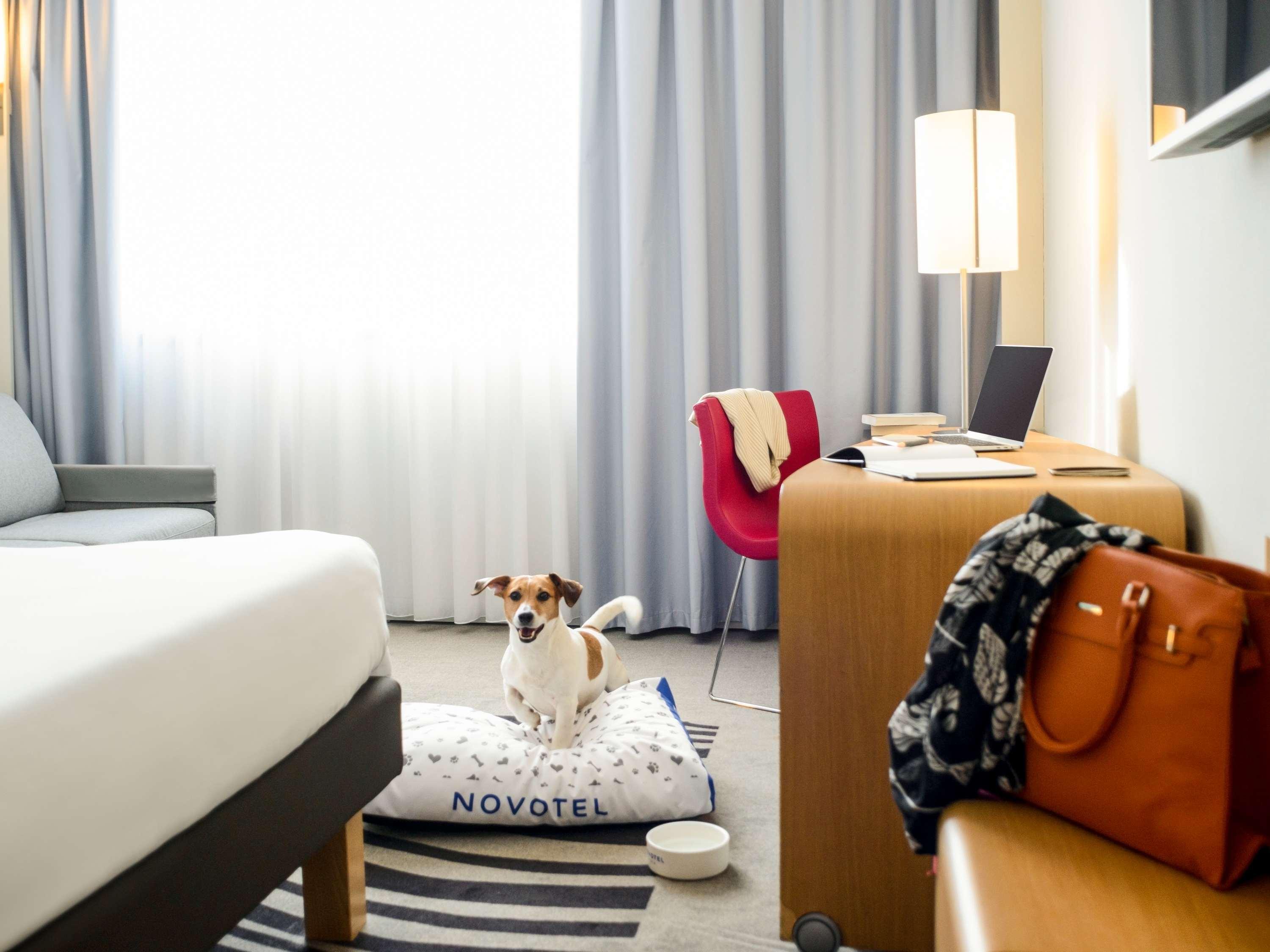 Double Executive King Bed