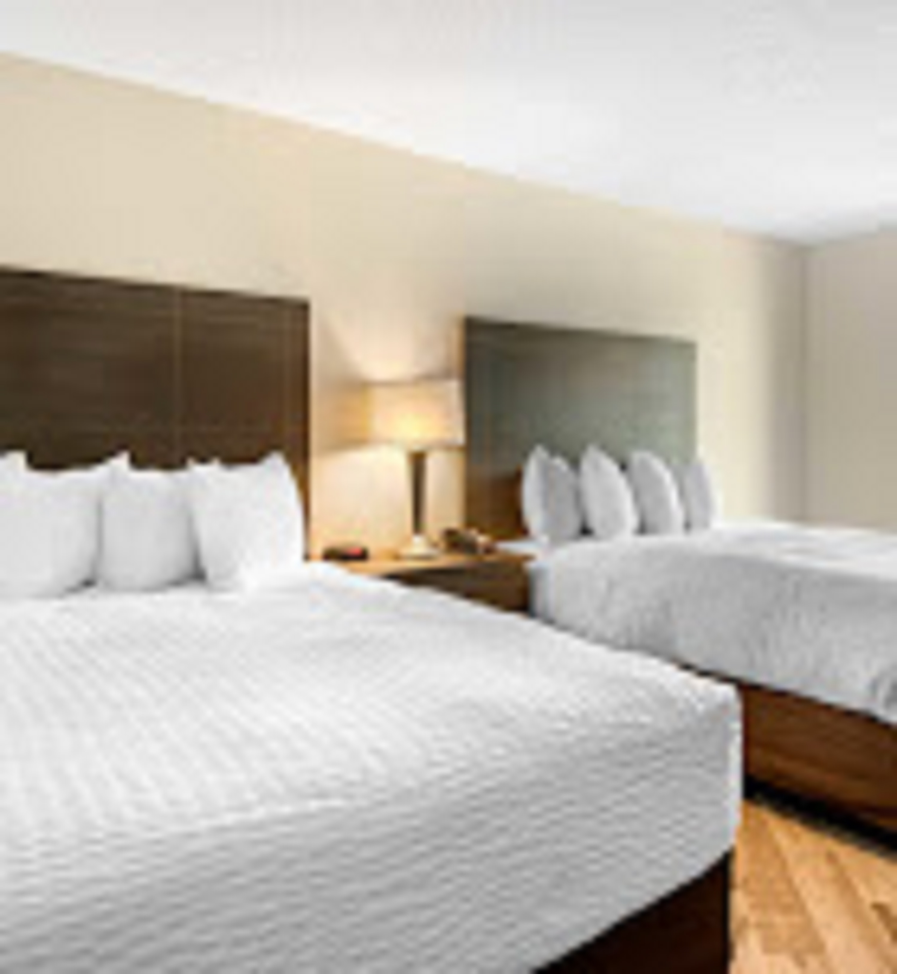 Suite Two Queen Beds Non Smoking