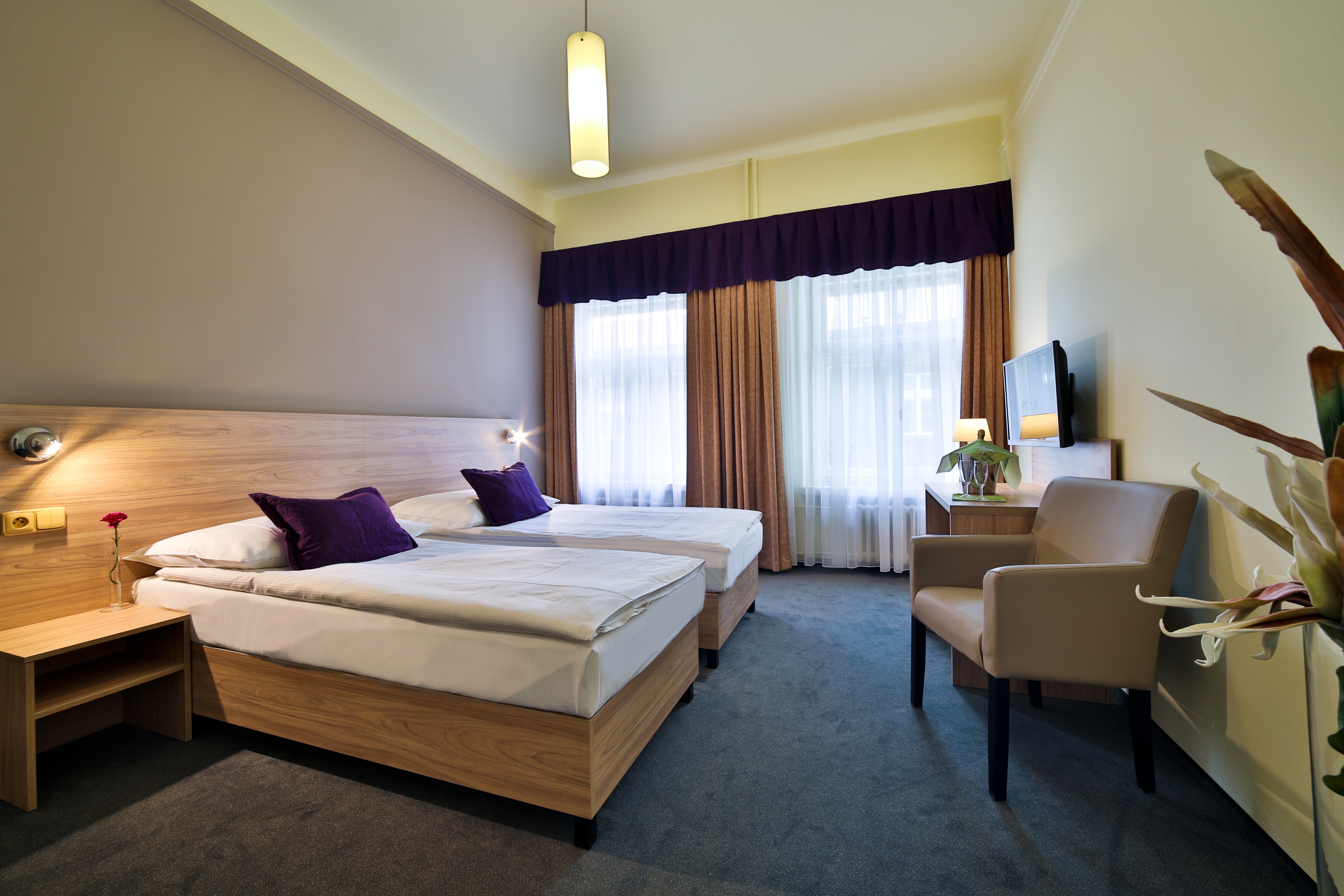 Double or Twin Standard