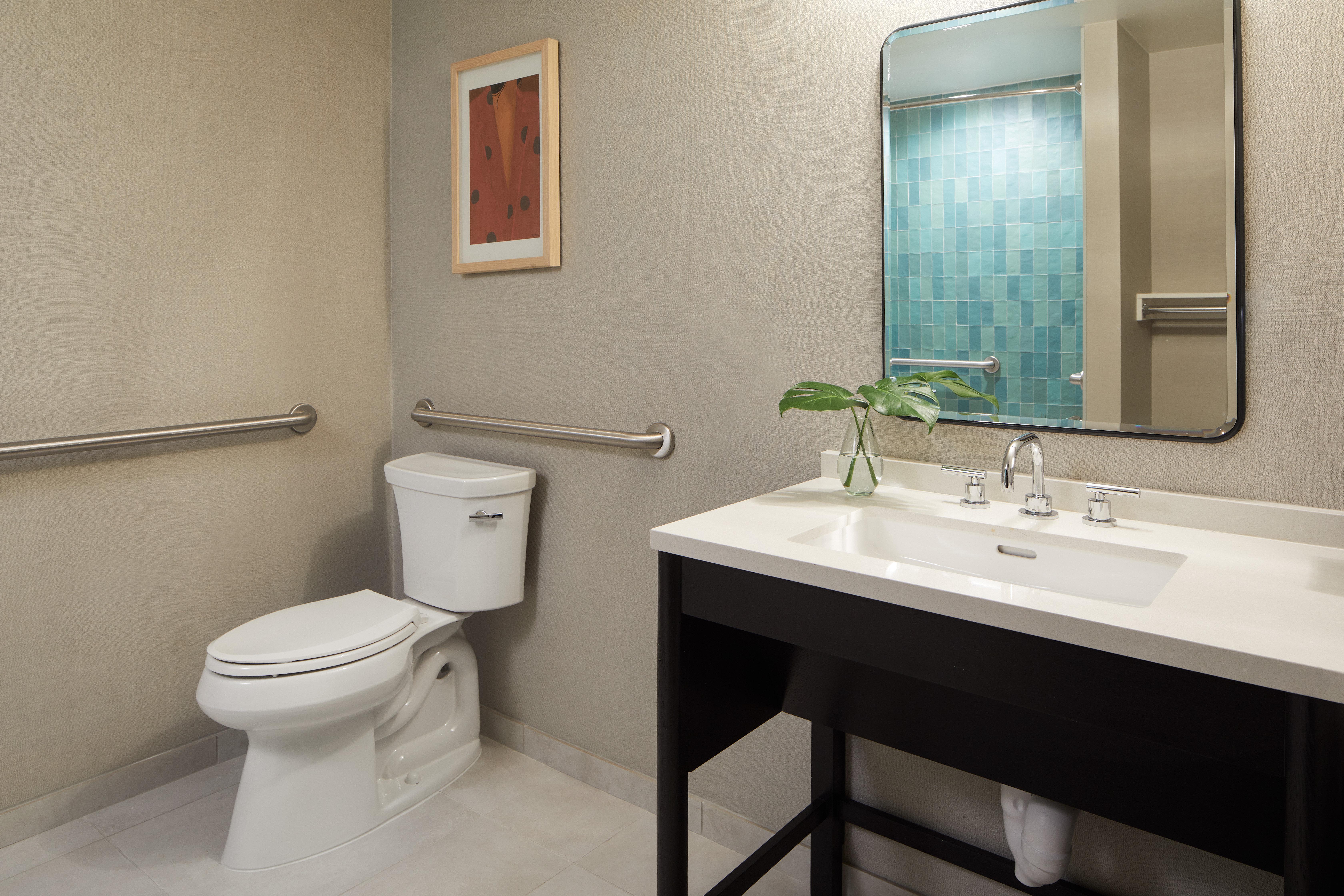 Double Accessible King Size Bed