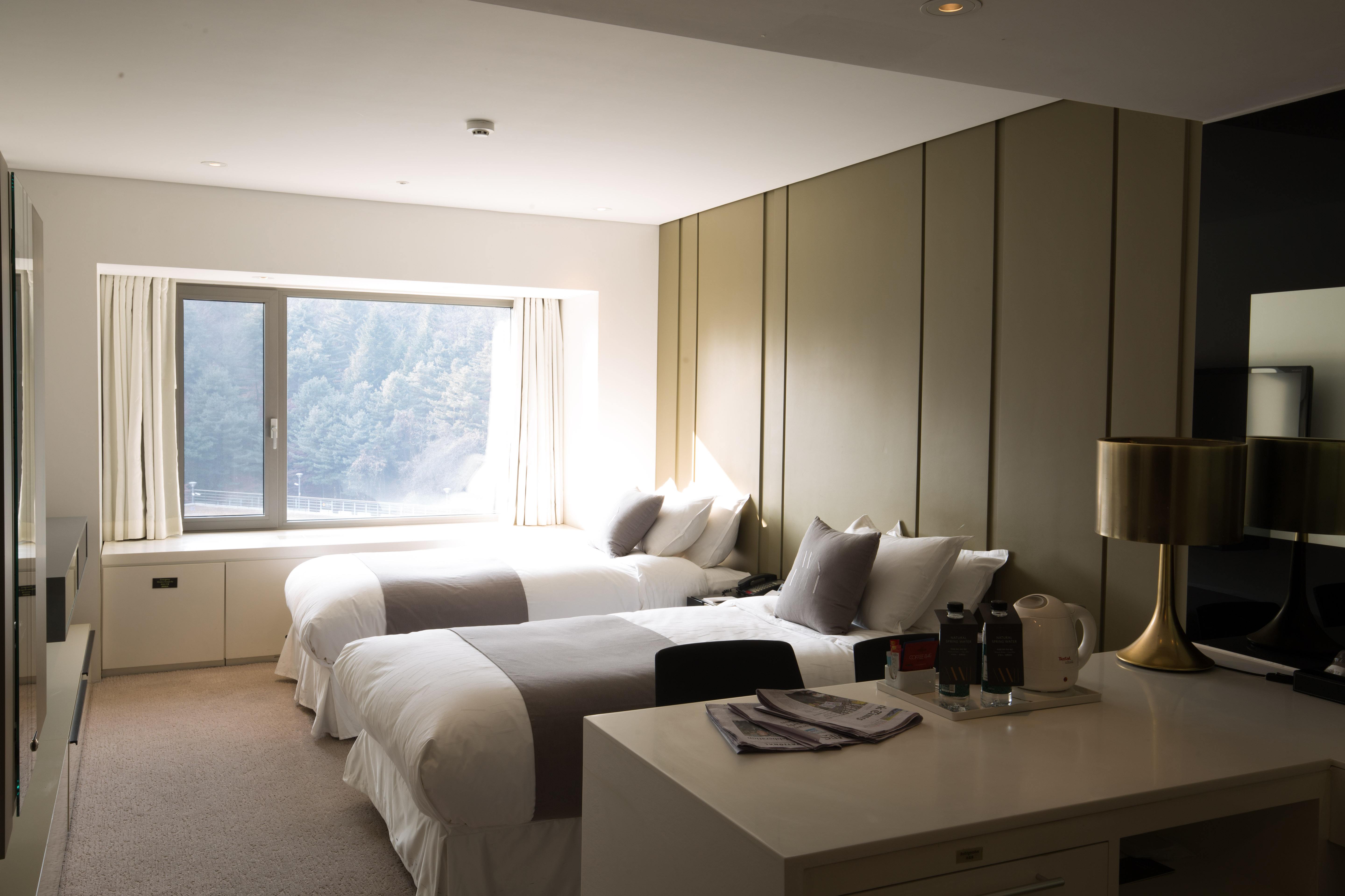 Twin Deluxe Mountain View