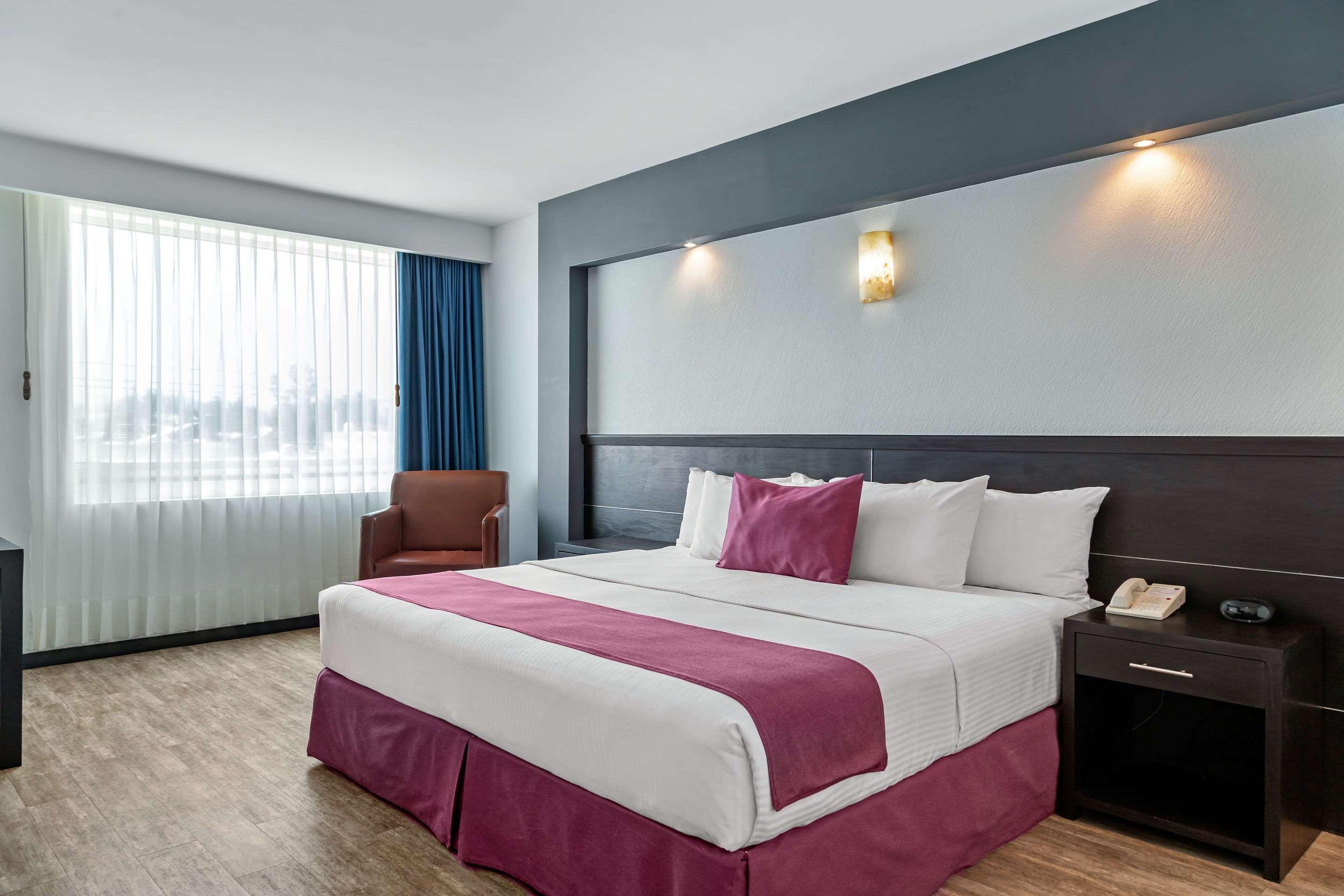 Double King Bed Non Smoking