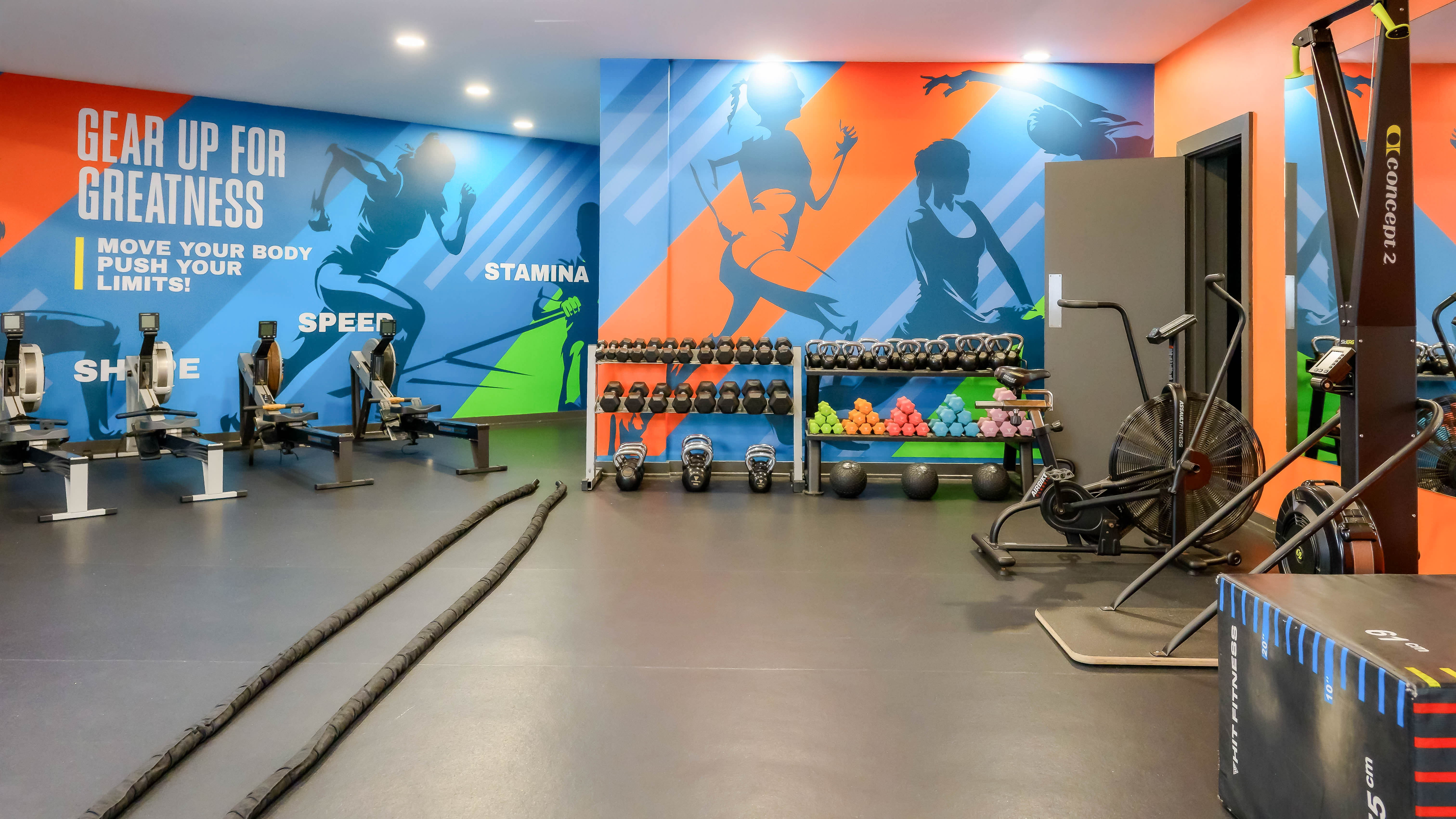 Sports and Entertainment