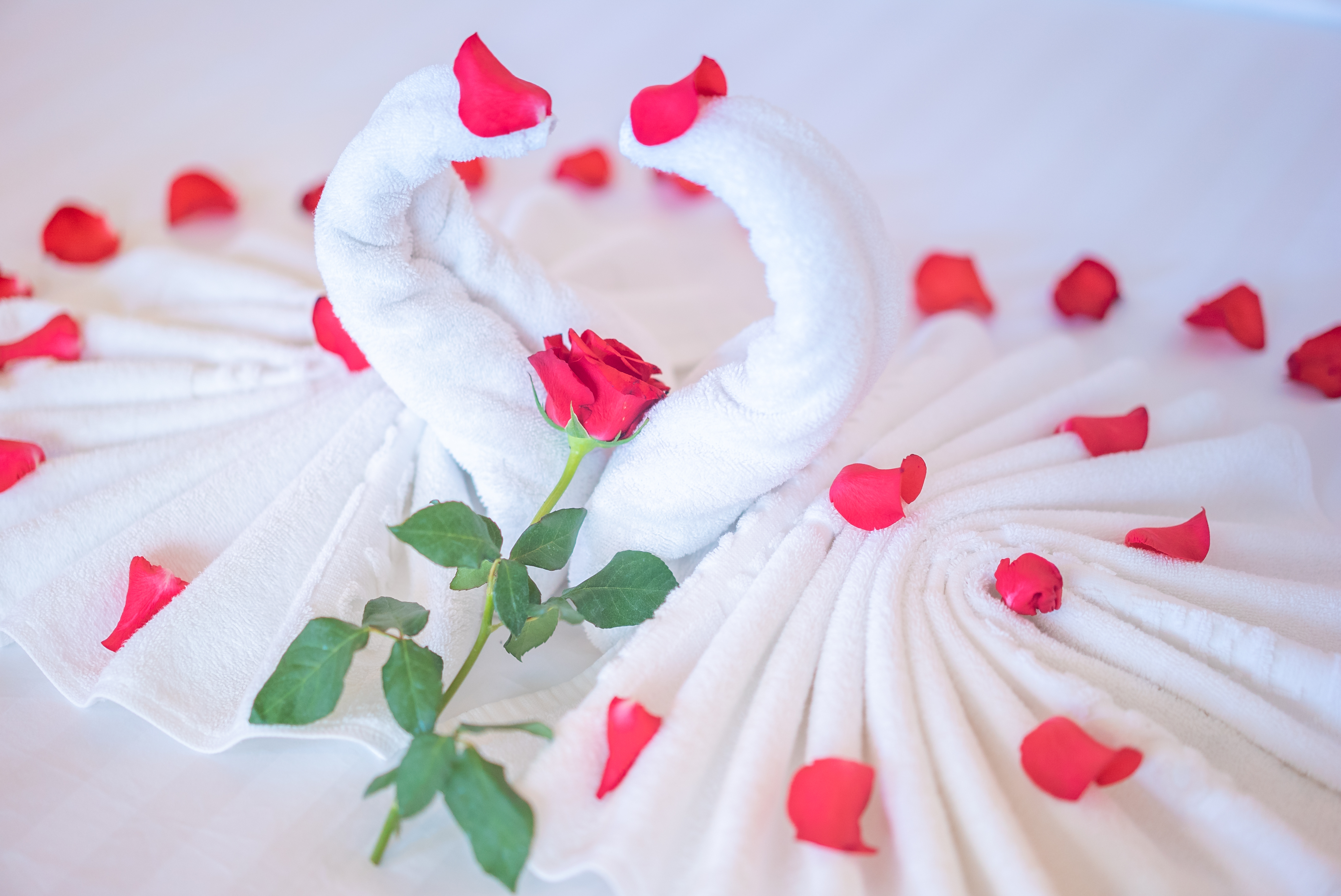 Double Deluxe Executive