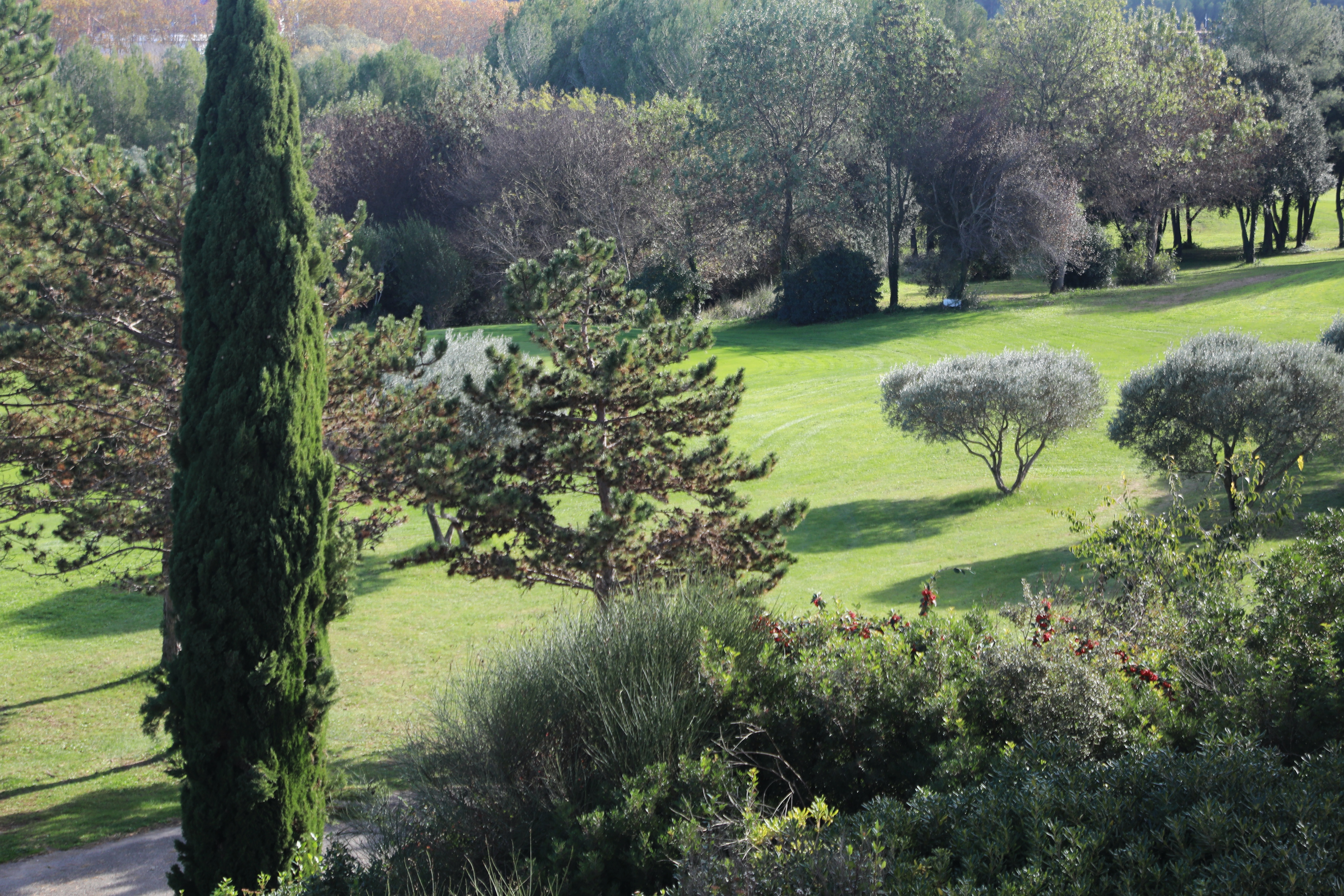 Apartment Capacity 6 Two Bedrooms