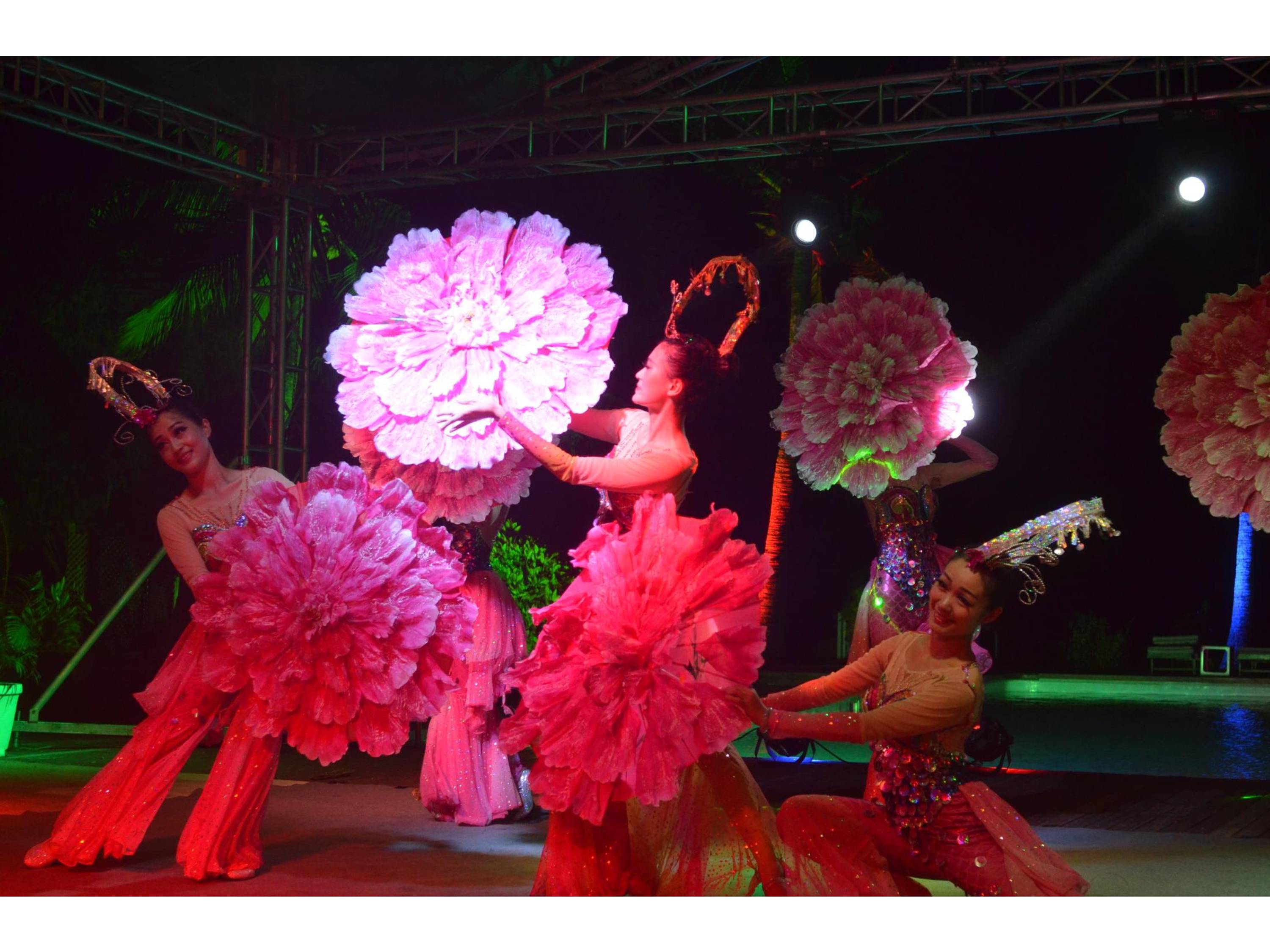 Sports and Entertainment