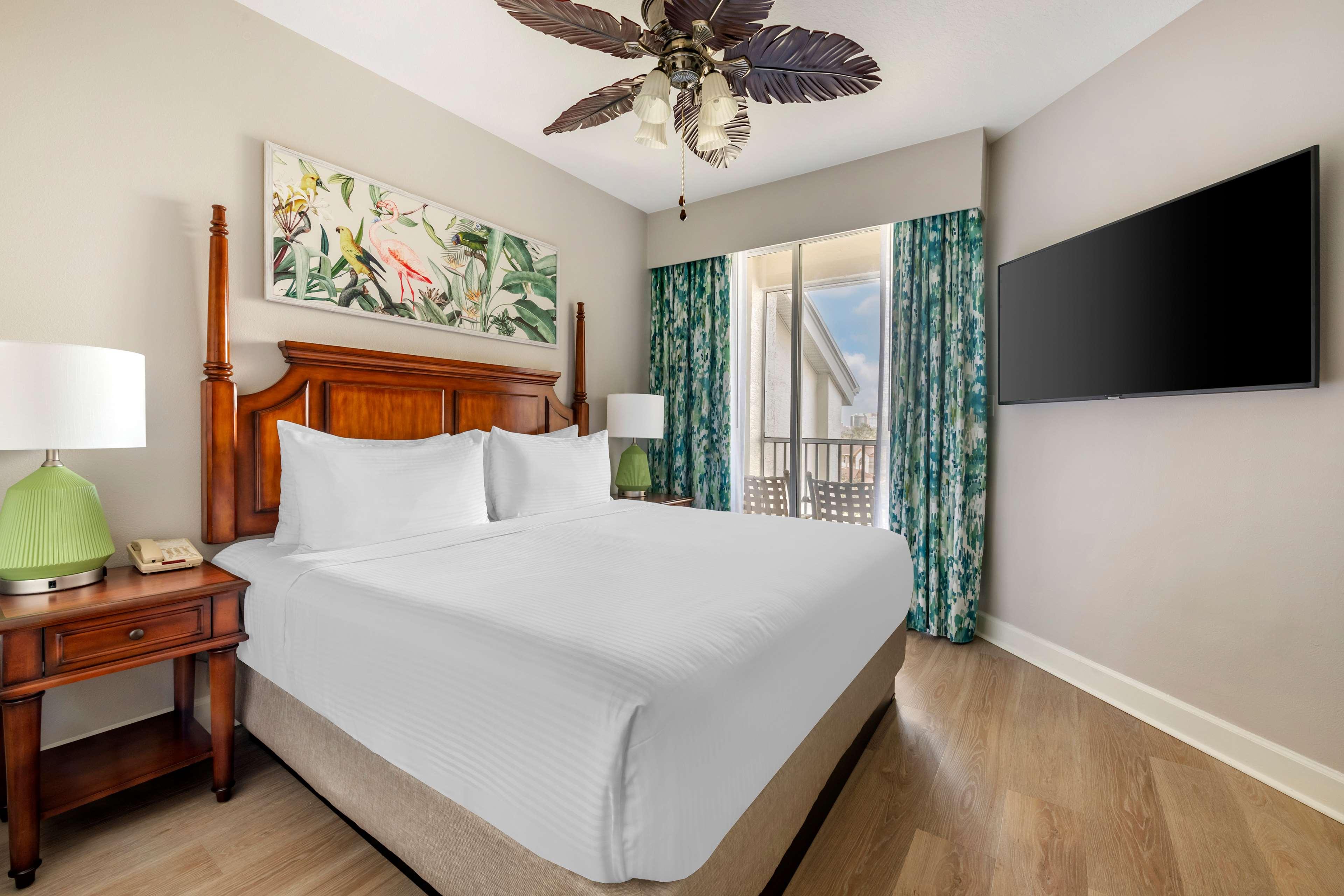 Suite King Bed One Bedroom 