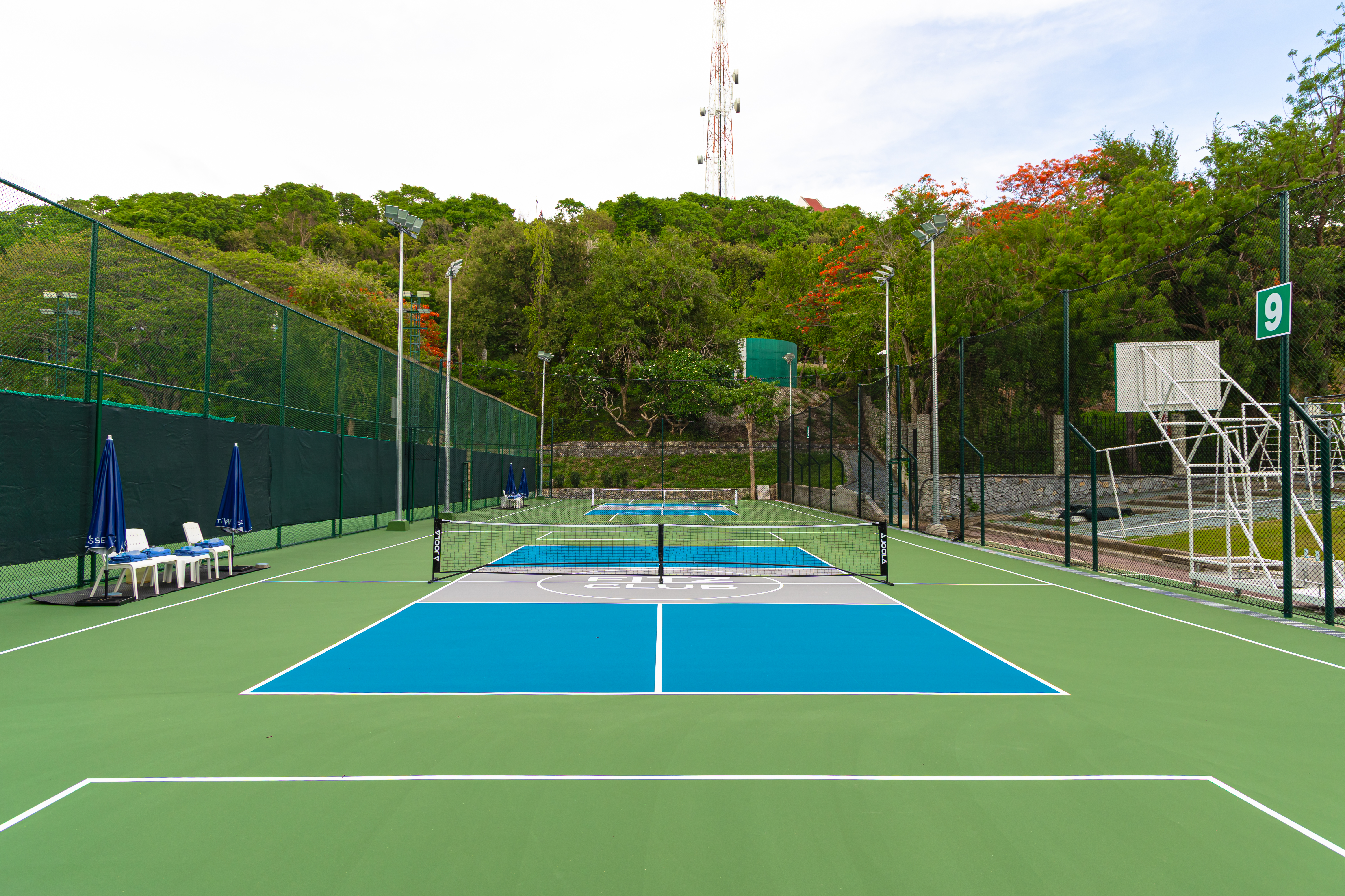 Sports and Entertainment